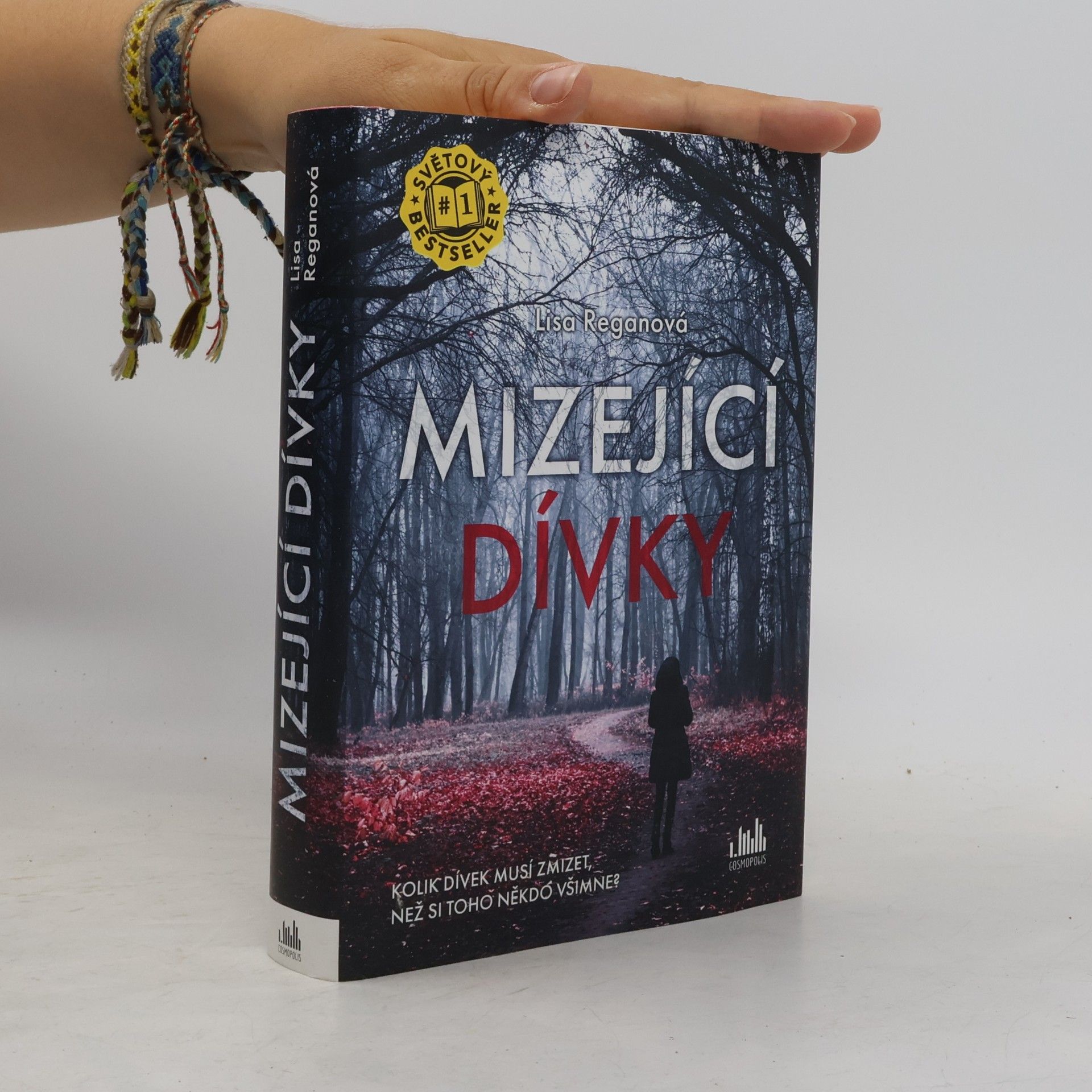 Lisa Regan Mizející dívky
