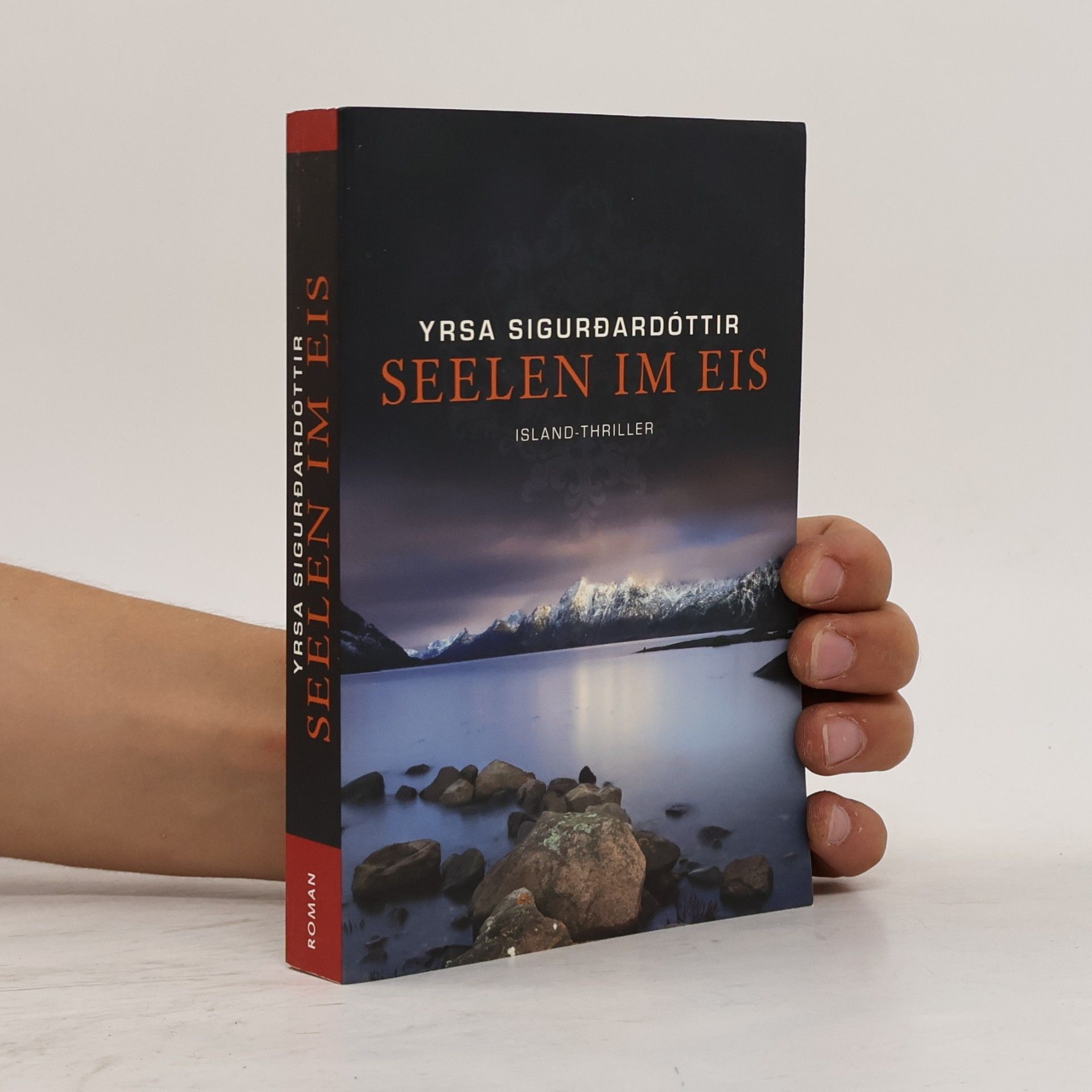 Yrsa Sigurðardóttir Seelen im Eis