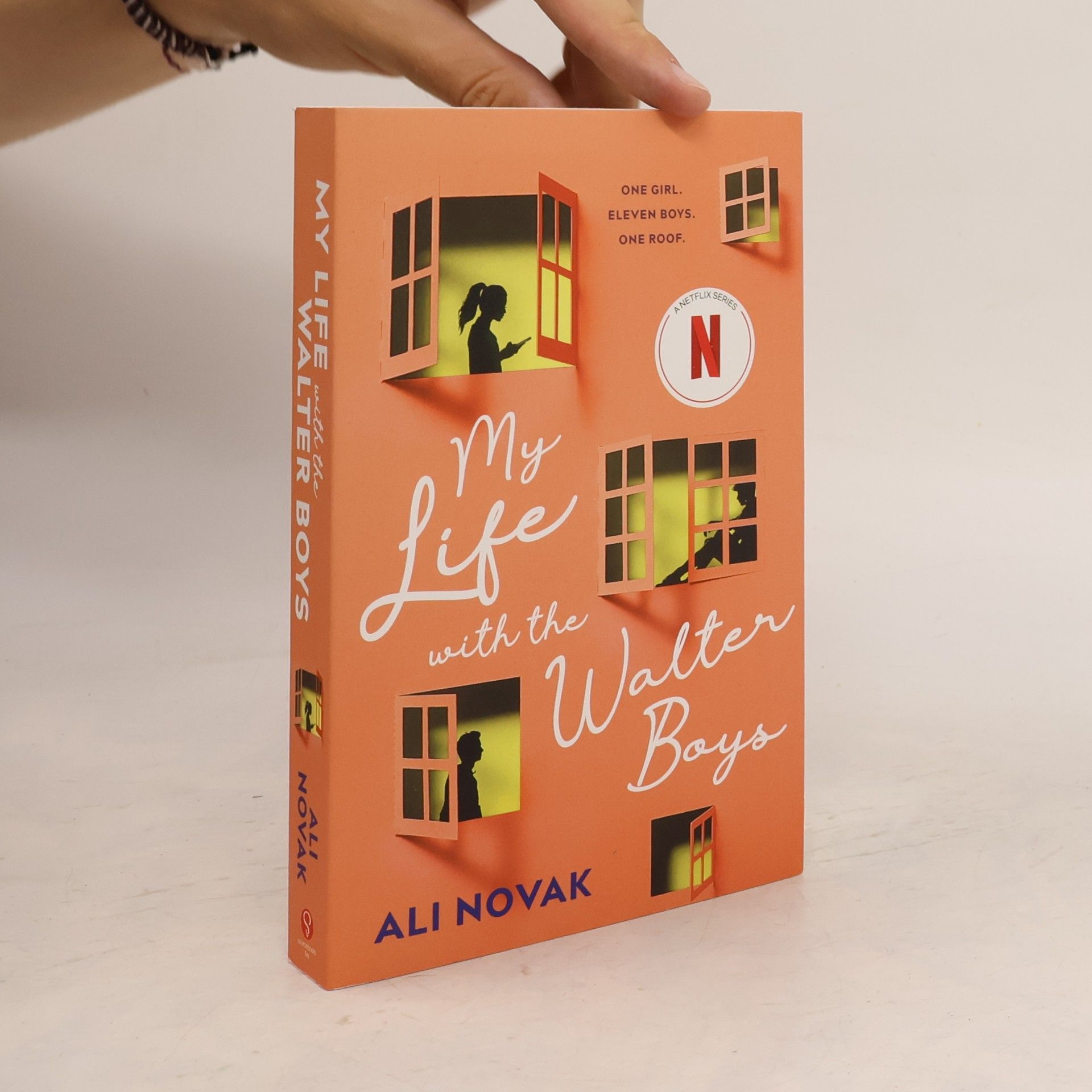 Ali Novak My Life with the Walter Boys