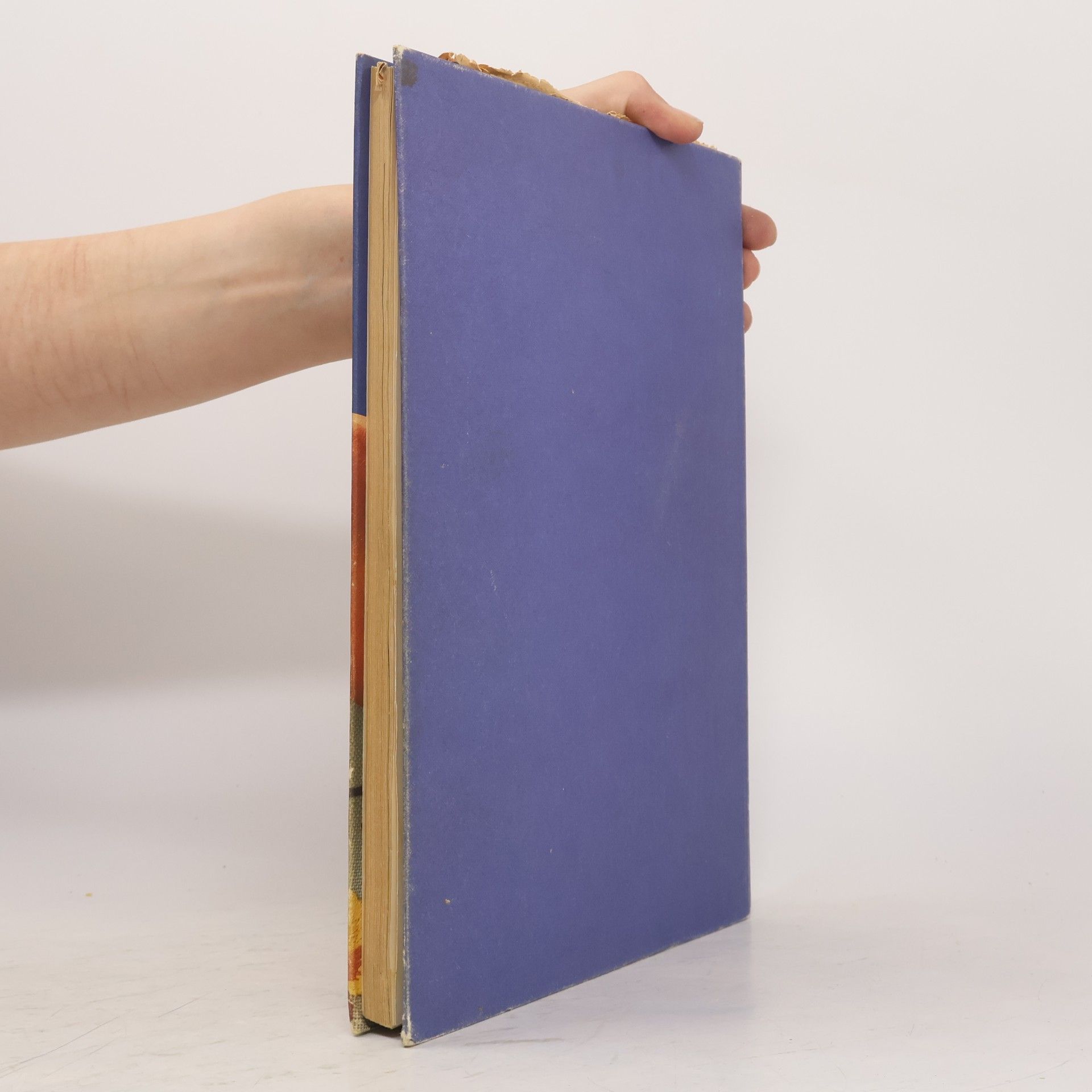 Hannelore Kopp Burda Stick-Lehrbuch