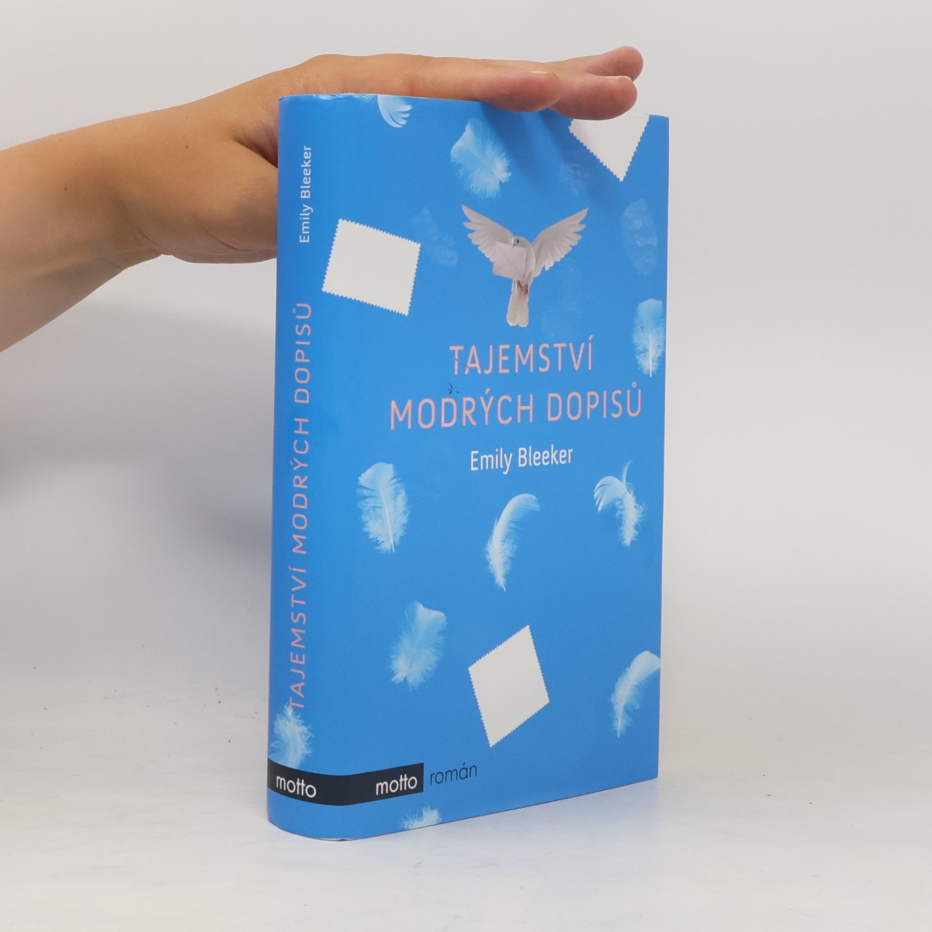 Emily Bleeker Tajemství modrých dopisů