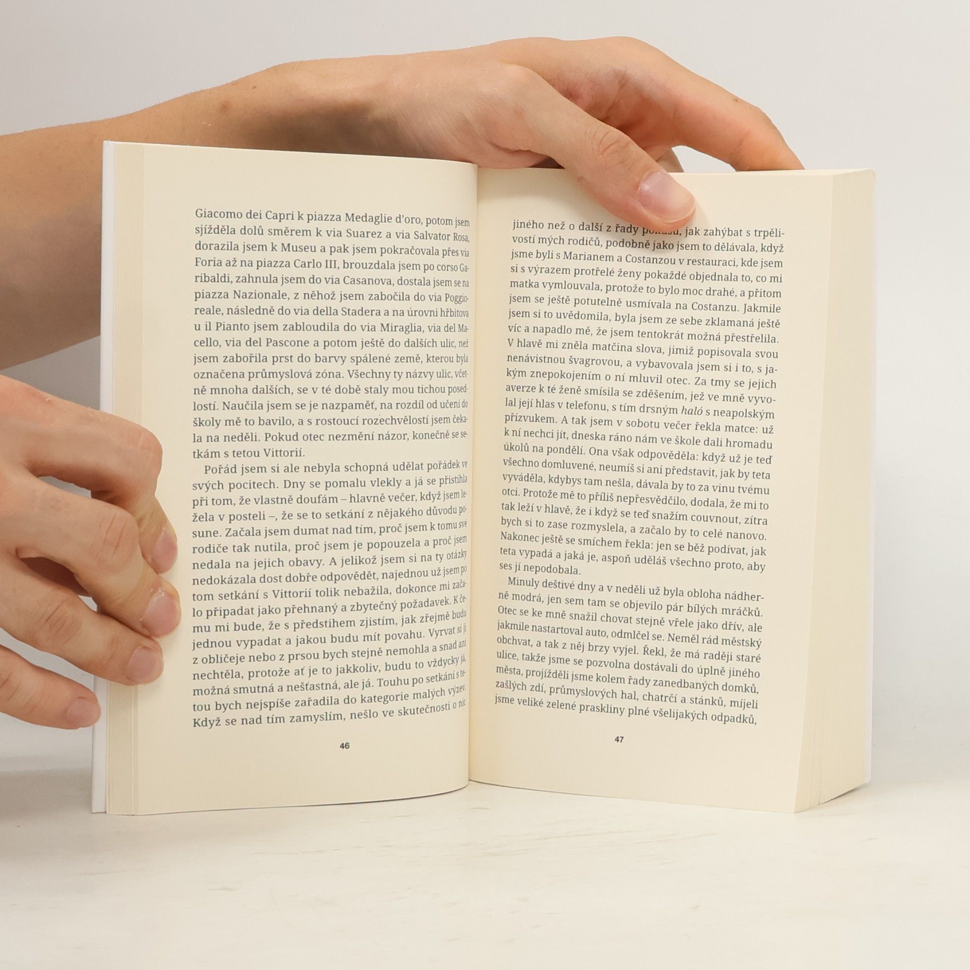 Elena Ferrante Prolhaný život dospělých