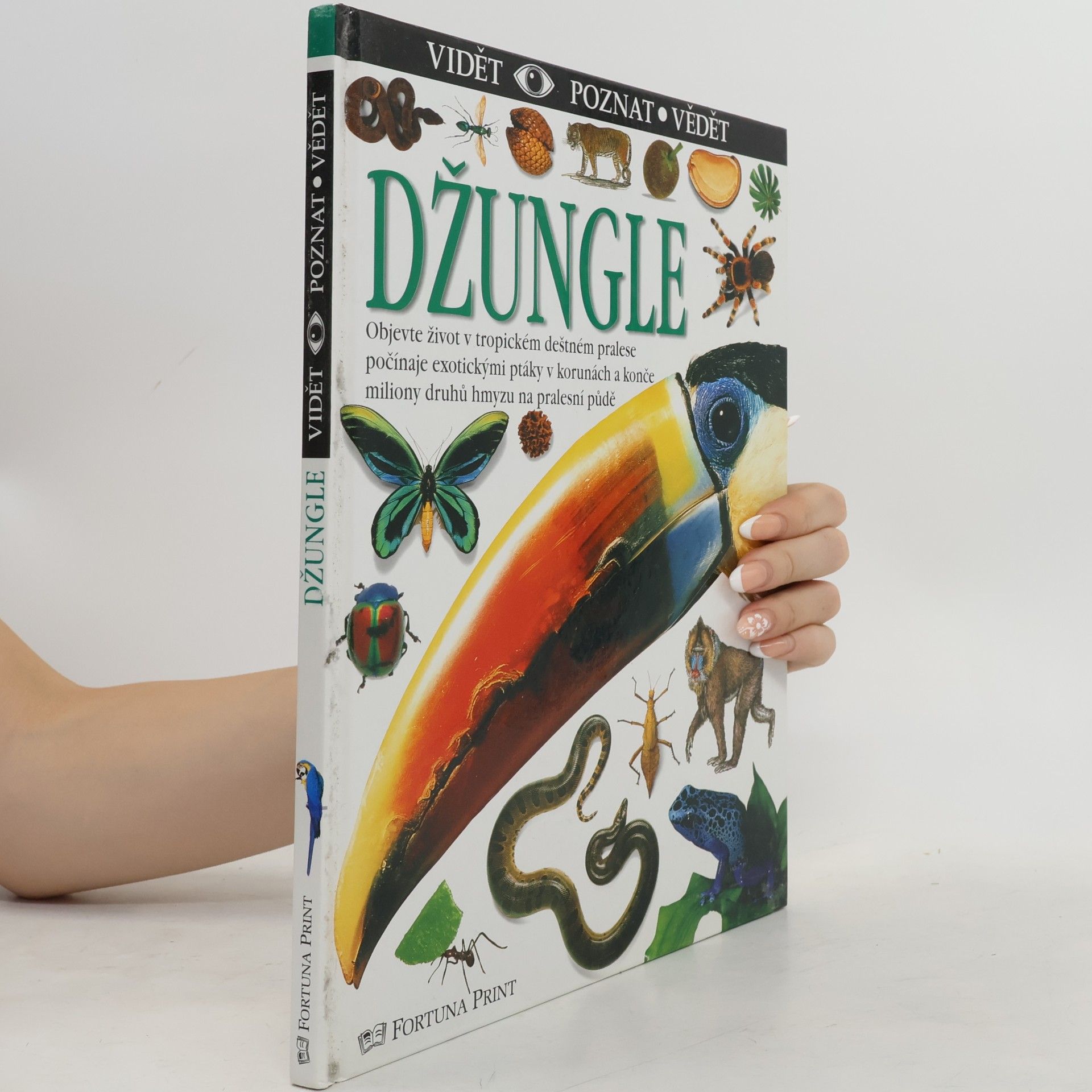 Džungle