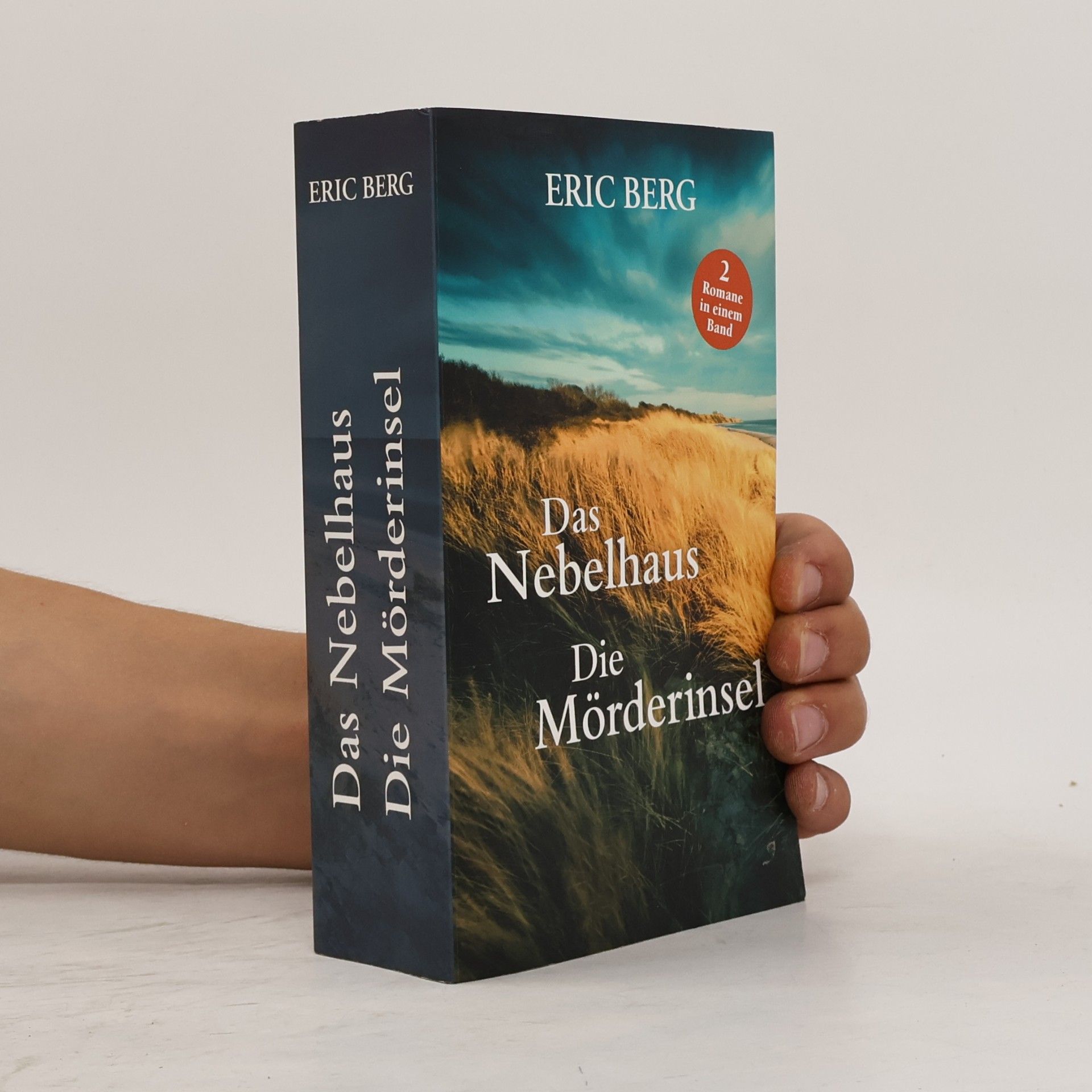 Eric Berg Das Nebelhaus. Die Mörderinsel