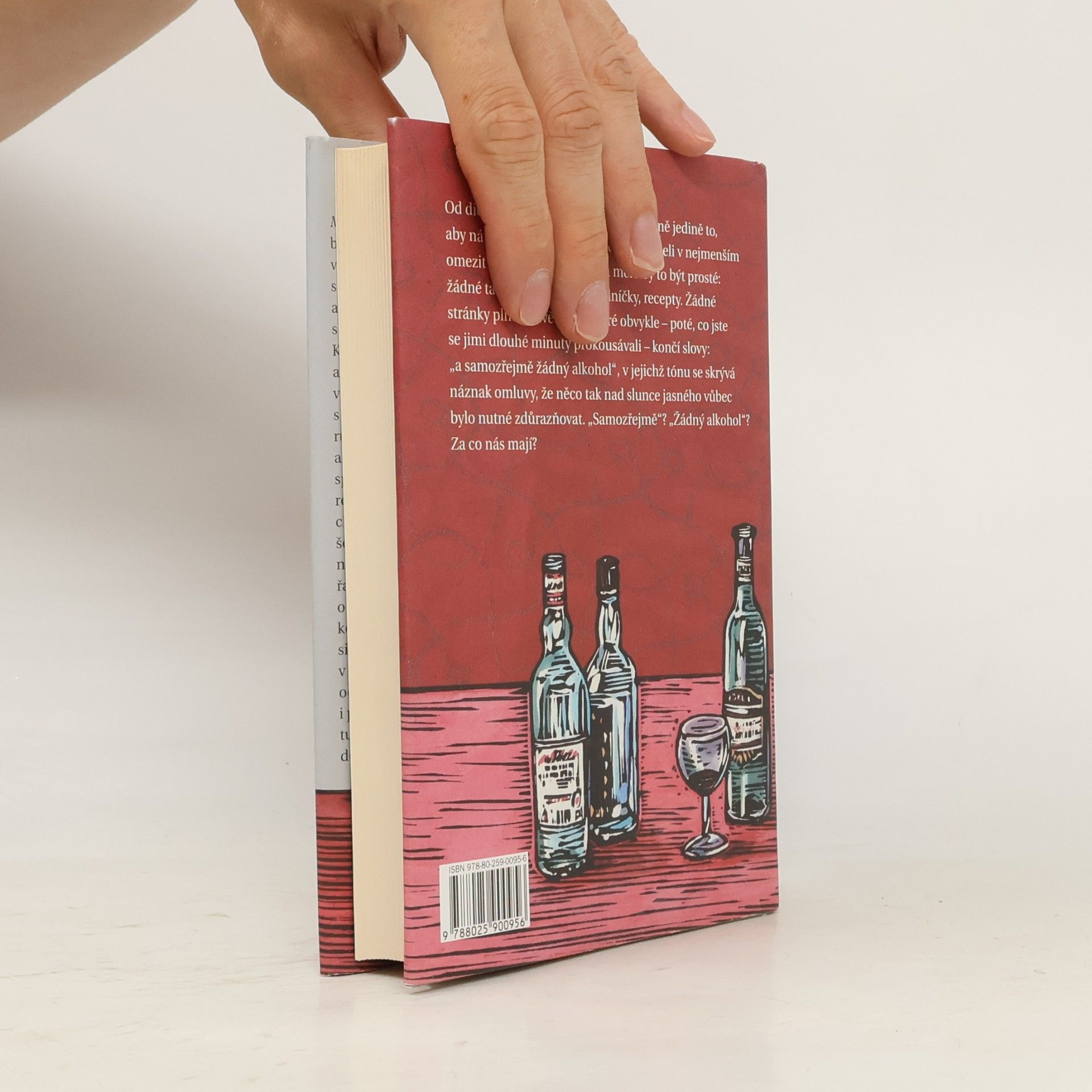 Kingsley Amis Manuál každodenního pijáka