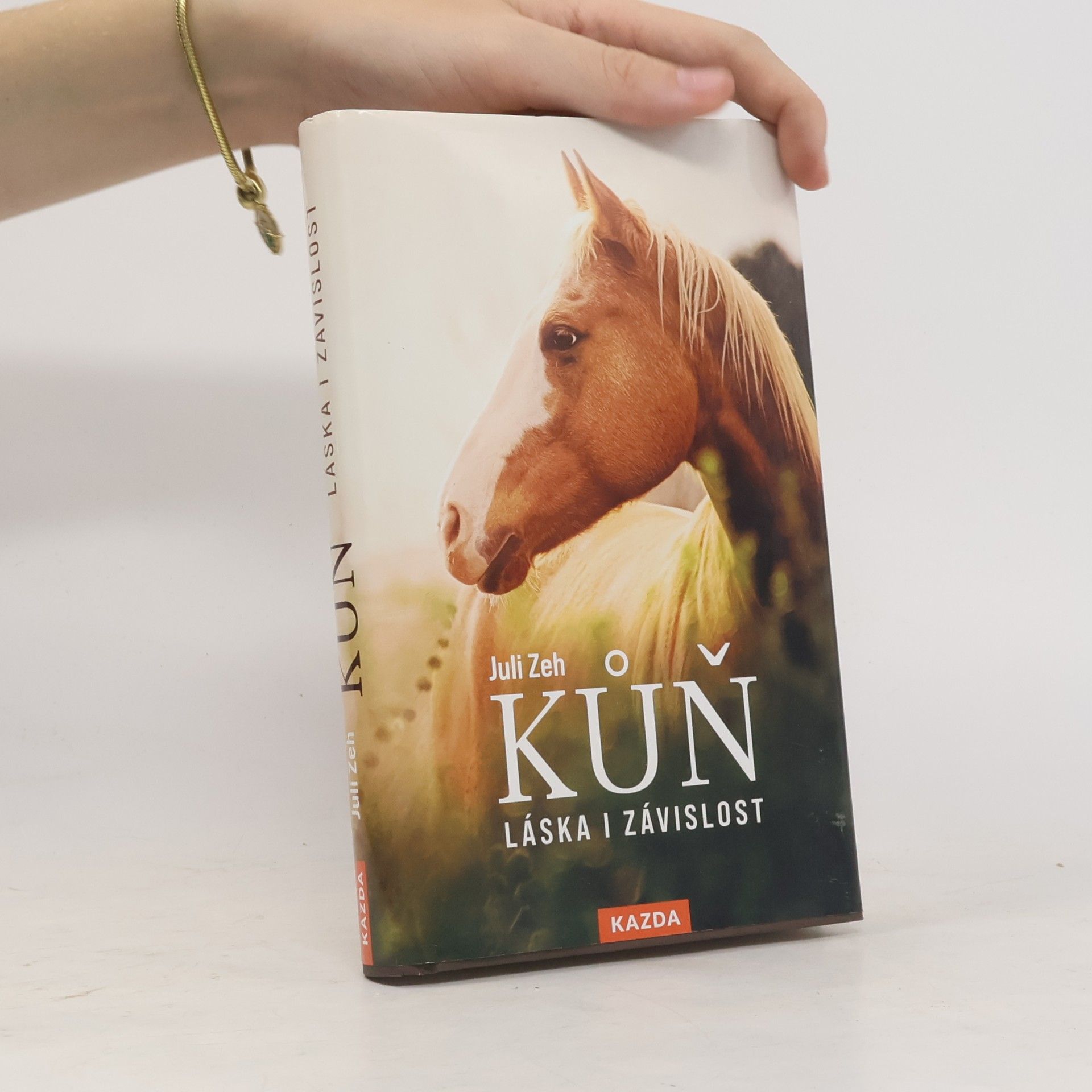Juli Zeh Kůň : láska i závislost