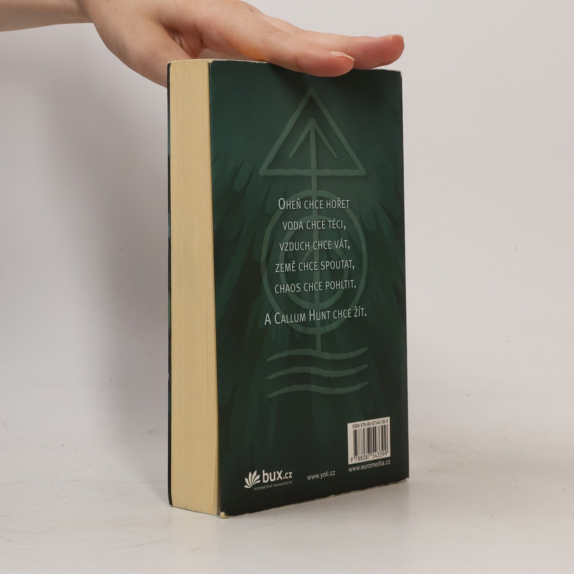 Holly Black Magisterium 1. Železná zkouška