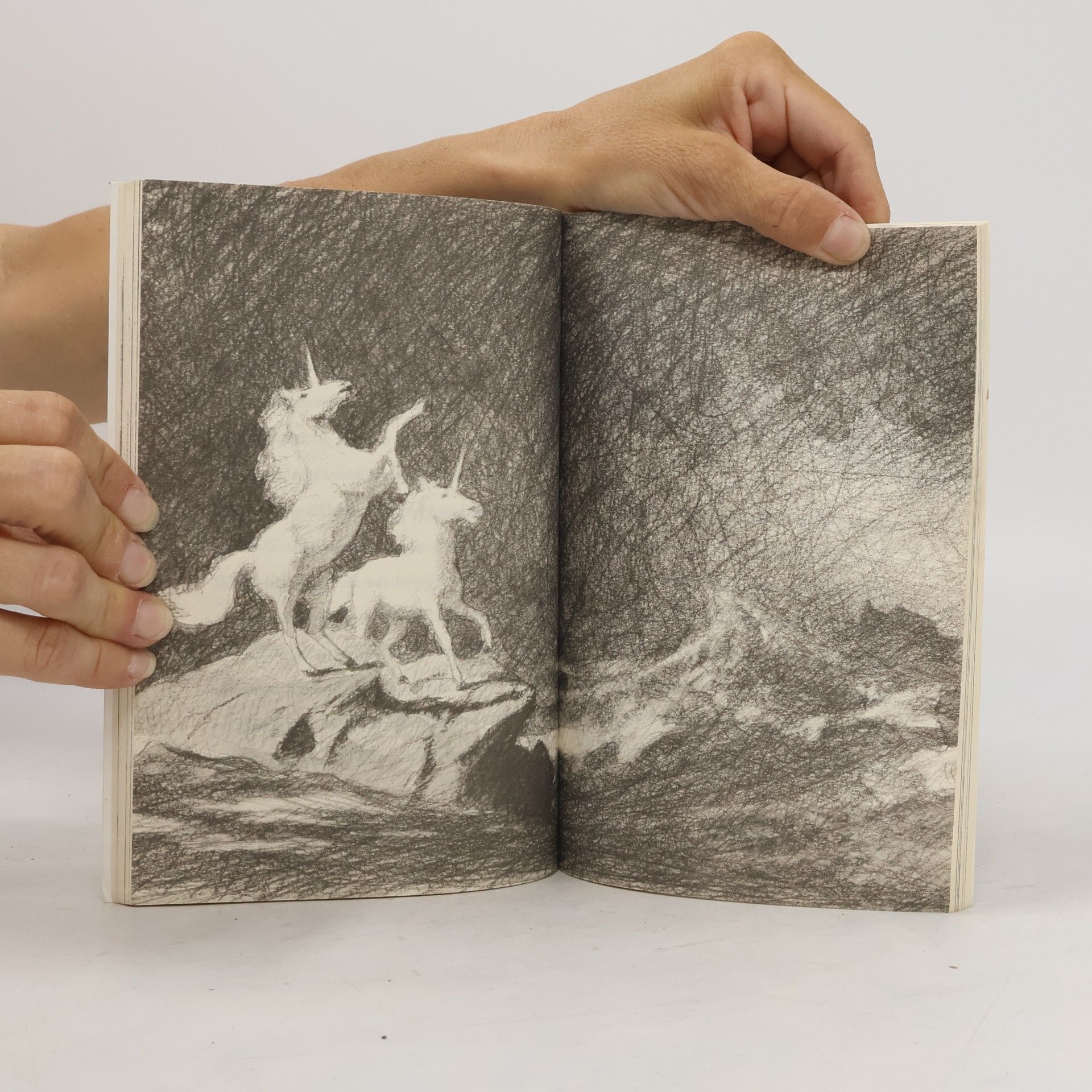 Michael Morpurgo I Believe in Unicorns