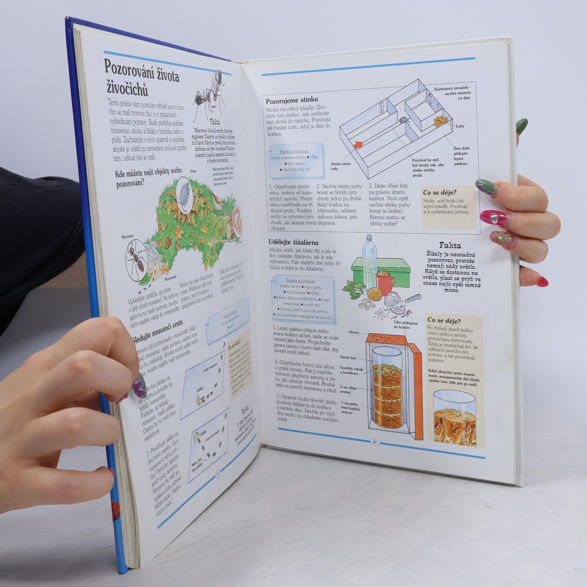 Autorenkollektiv Velká kniha pokusů