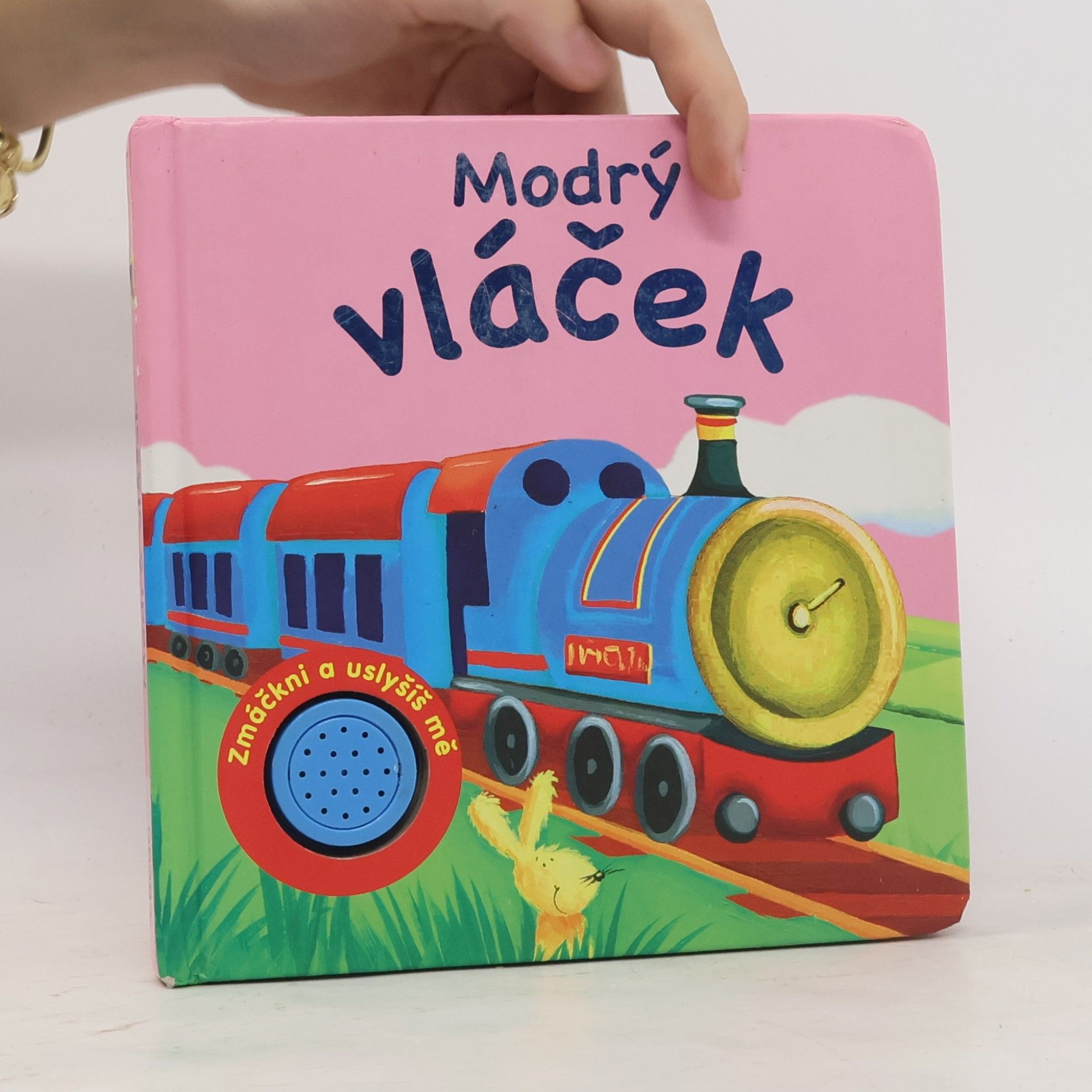 AA.VV. Modrý vláček