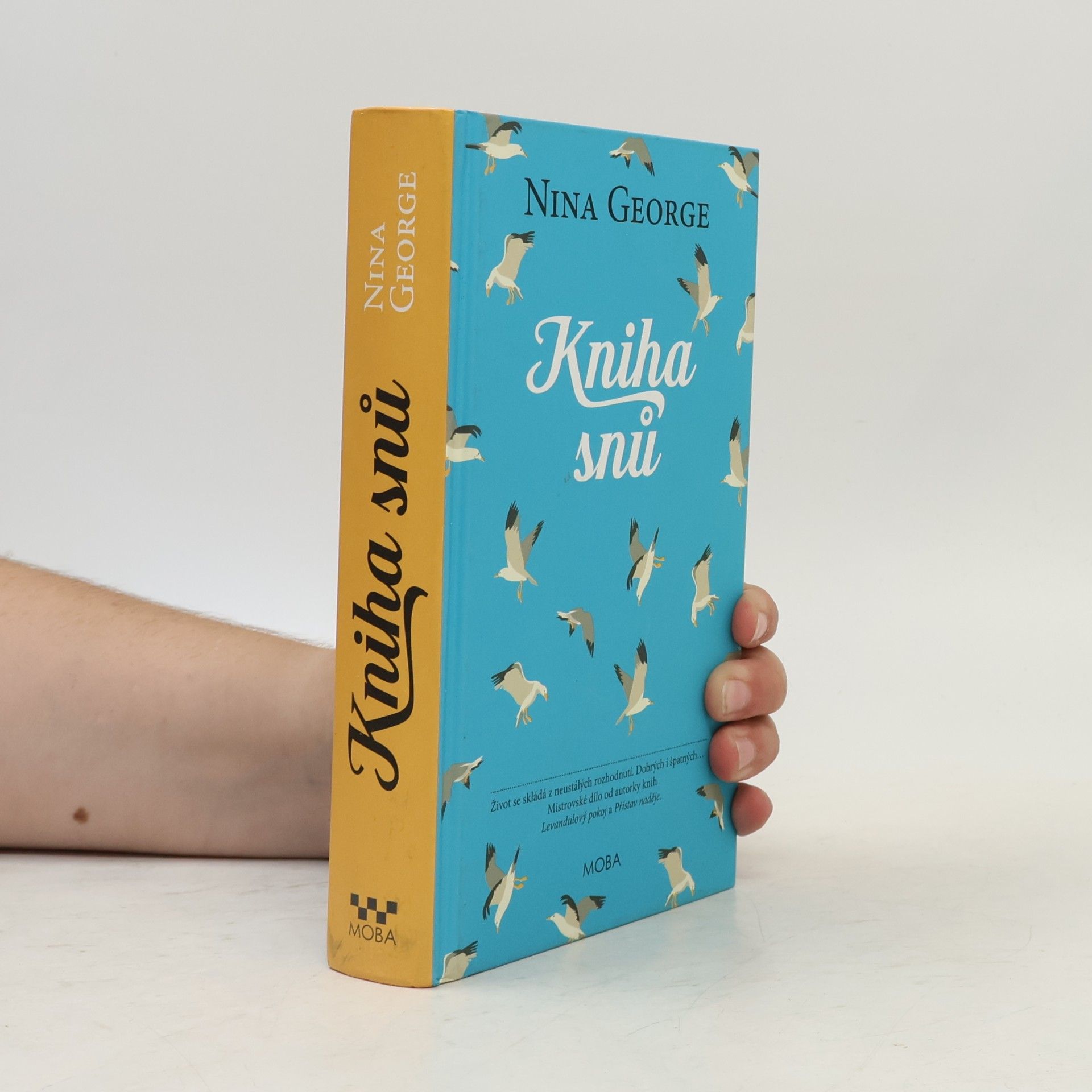 Nina George Kniha snů