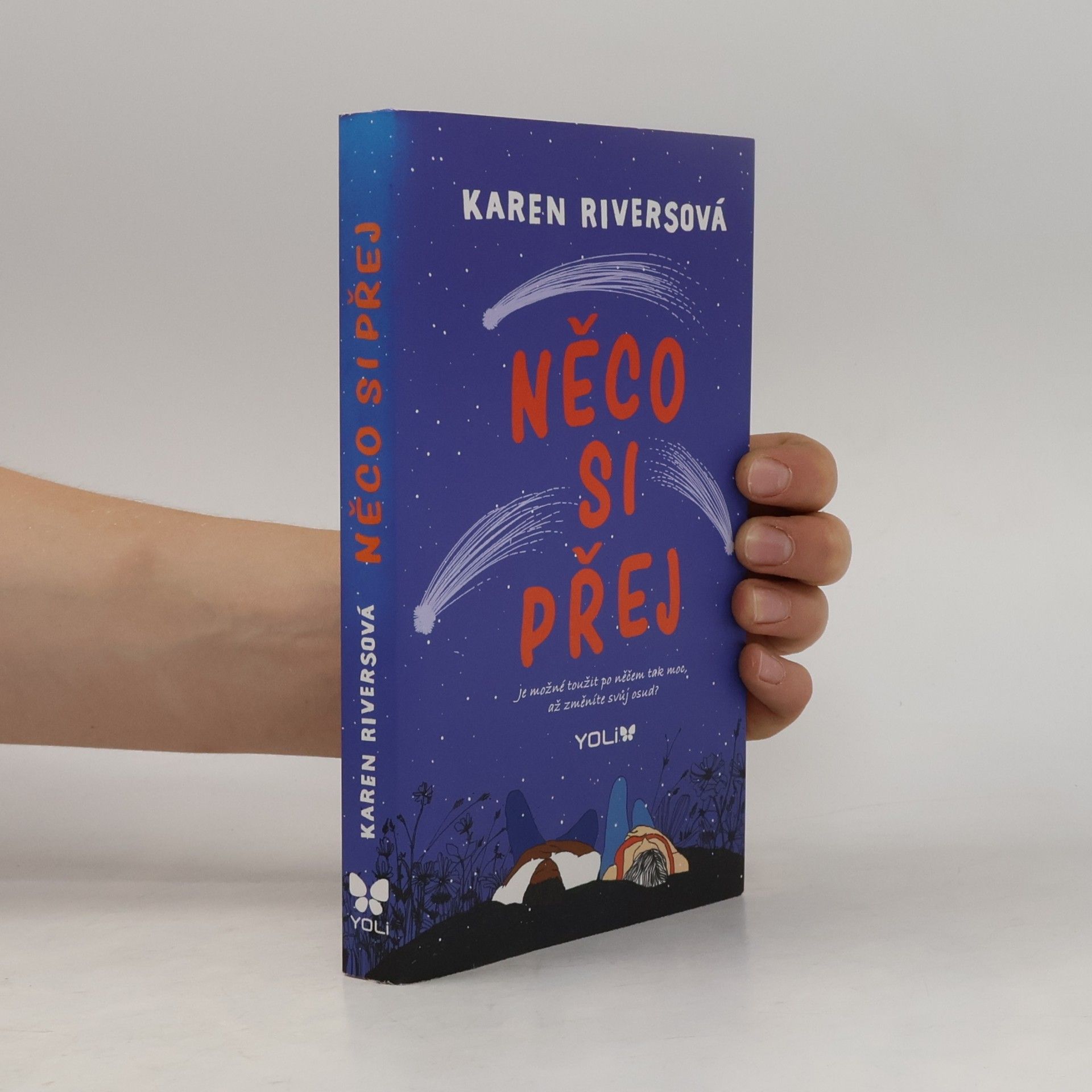 Karen Rivers Něco si přej