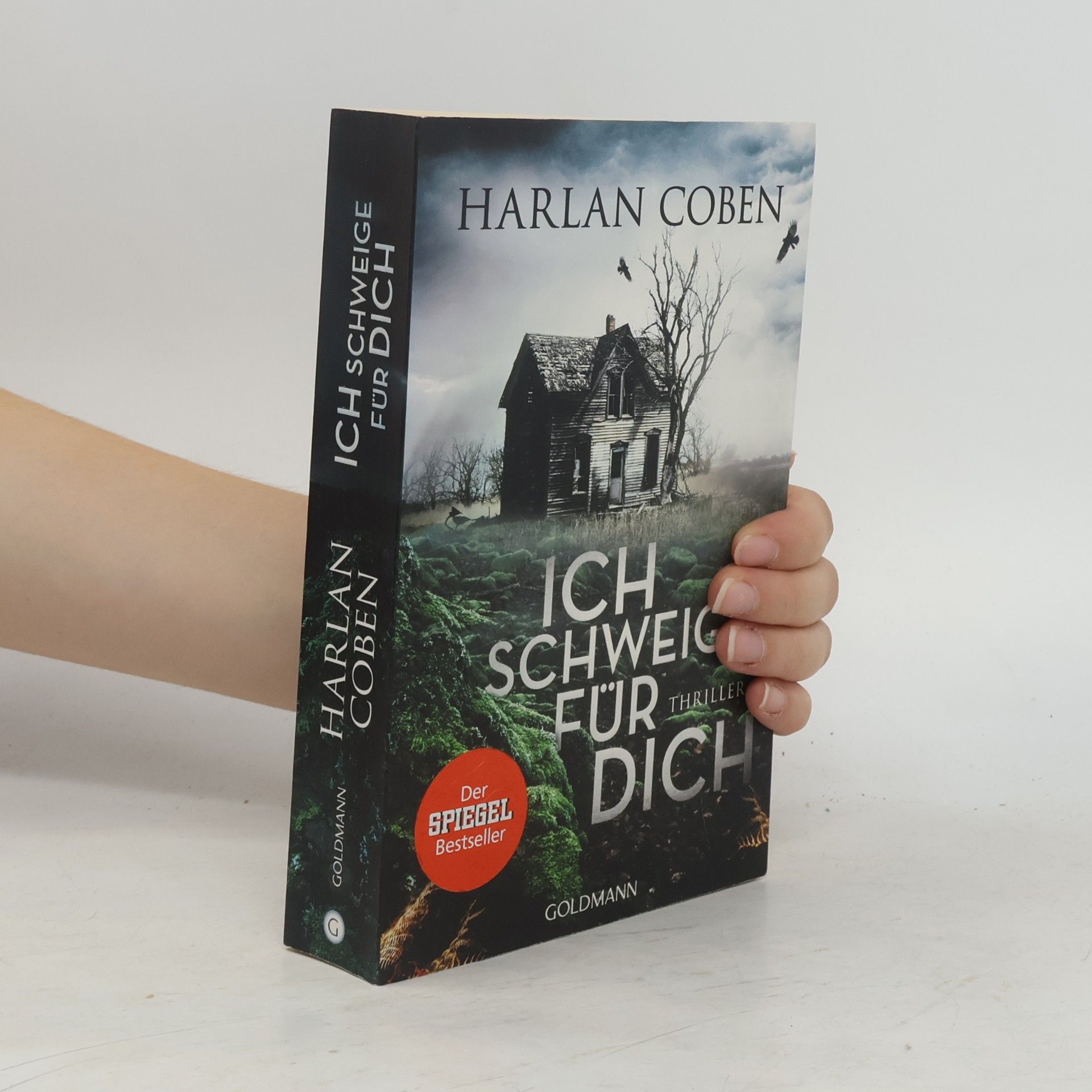 Harlan Coben Ich Schweige für dich