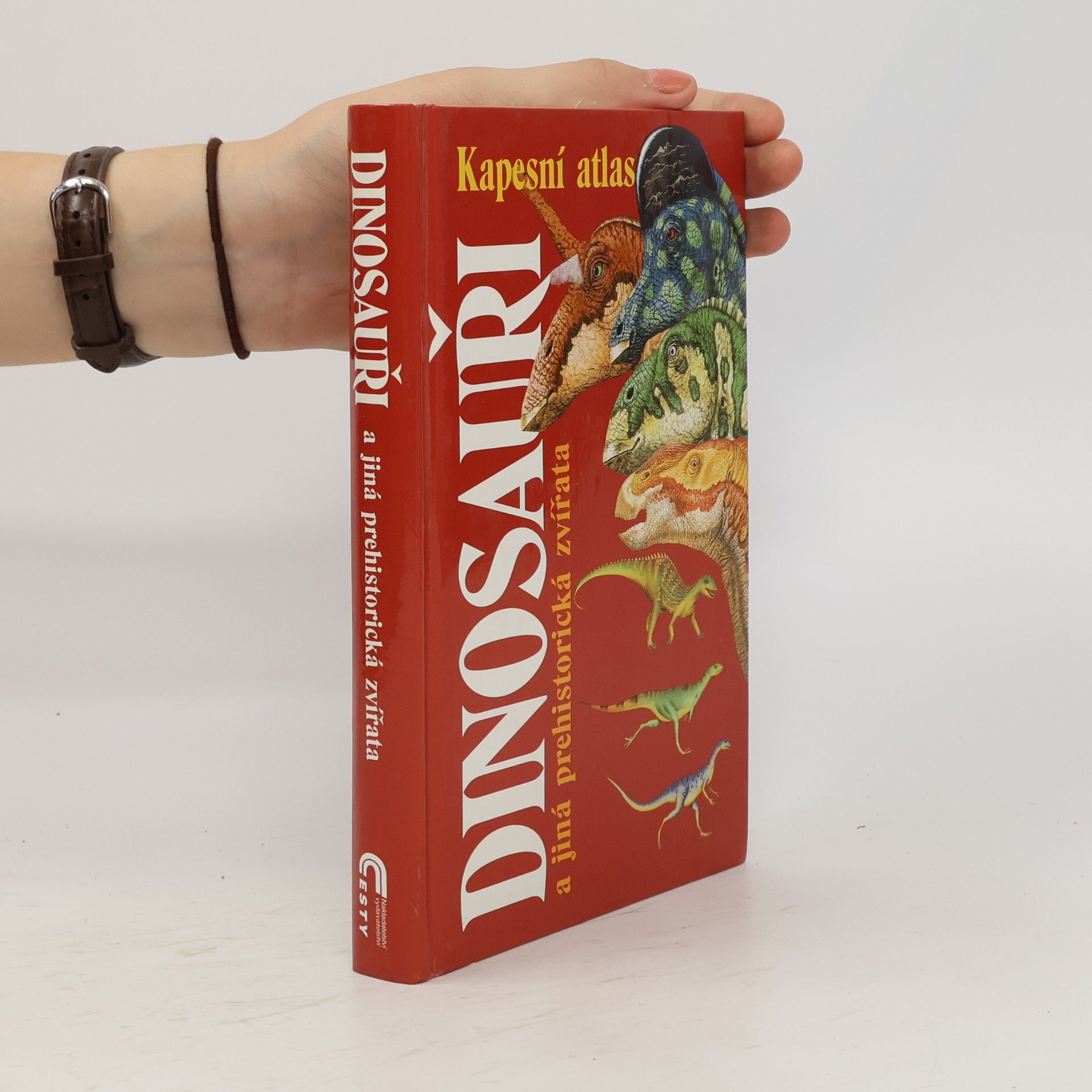 Michael J. Benton Dinosauři a jiná prehistorická zvířata. Průvodce světem vyhynulých živočichů