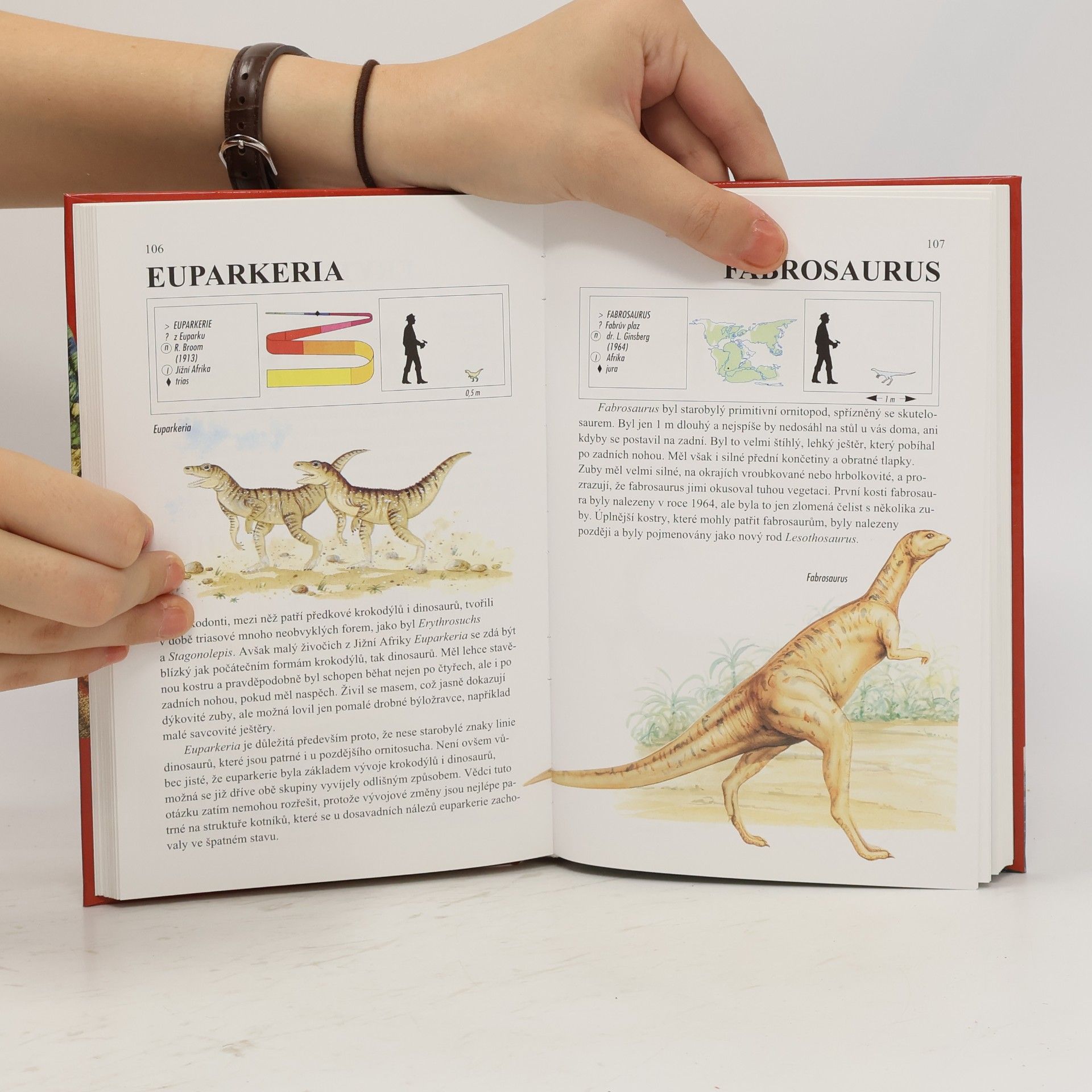 Michael J. Benton Dinosauři a jiná prehistorická zvířata. Průvodce světem vyhynulých živočichů
