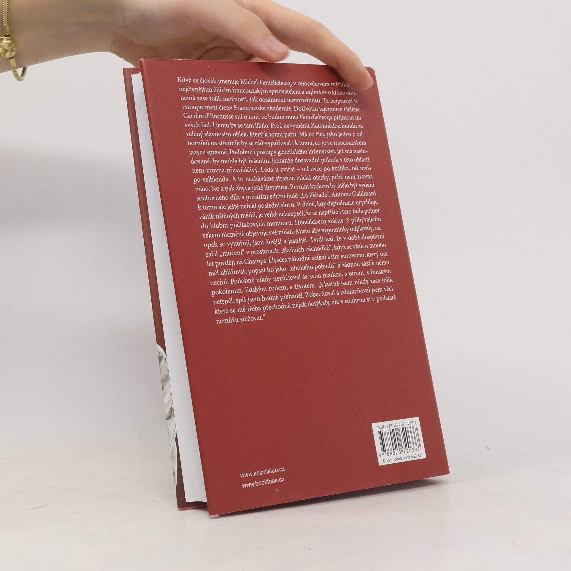 Denis Demonpion Houellebecq