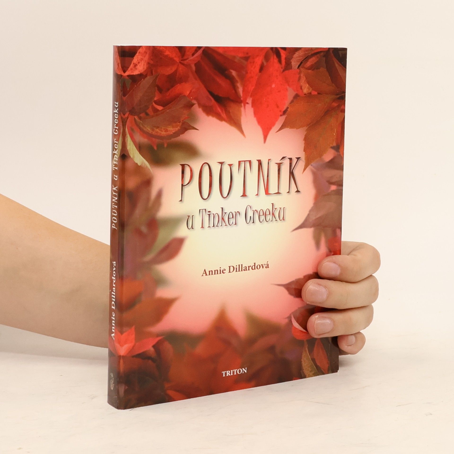 Annie Dillard Poutník u Tinker Creeku