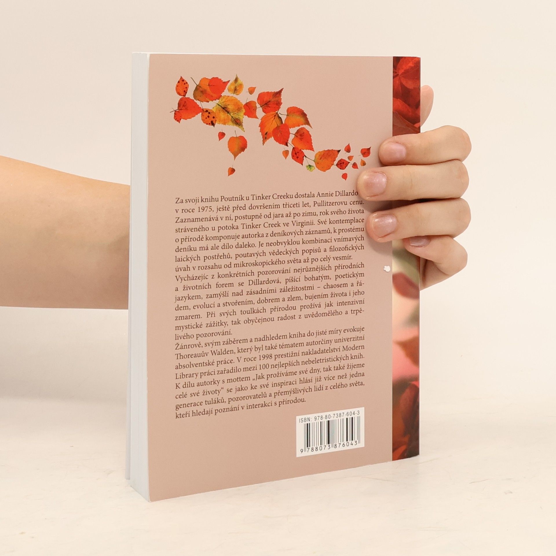 Annie Dillard Poutník u Tinker Creeku