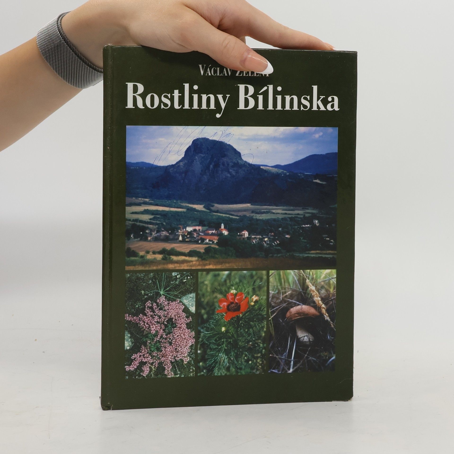 Václav Zelený Rostliny Bílinska