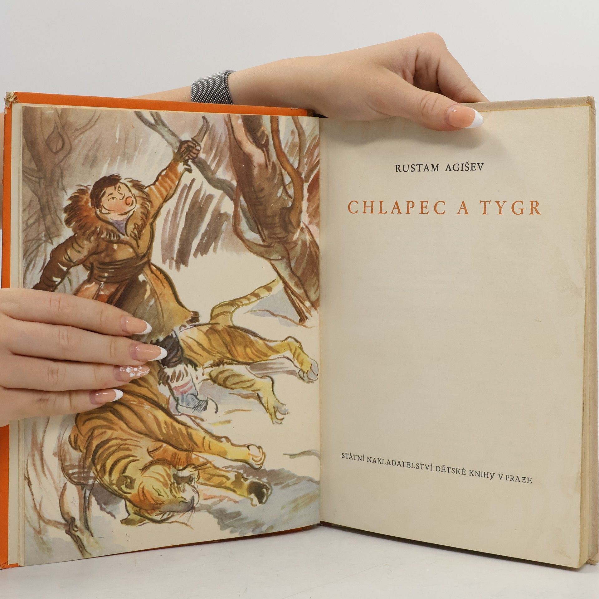 Rustam Konstantinovič Agišev Chlapec a tygr
