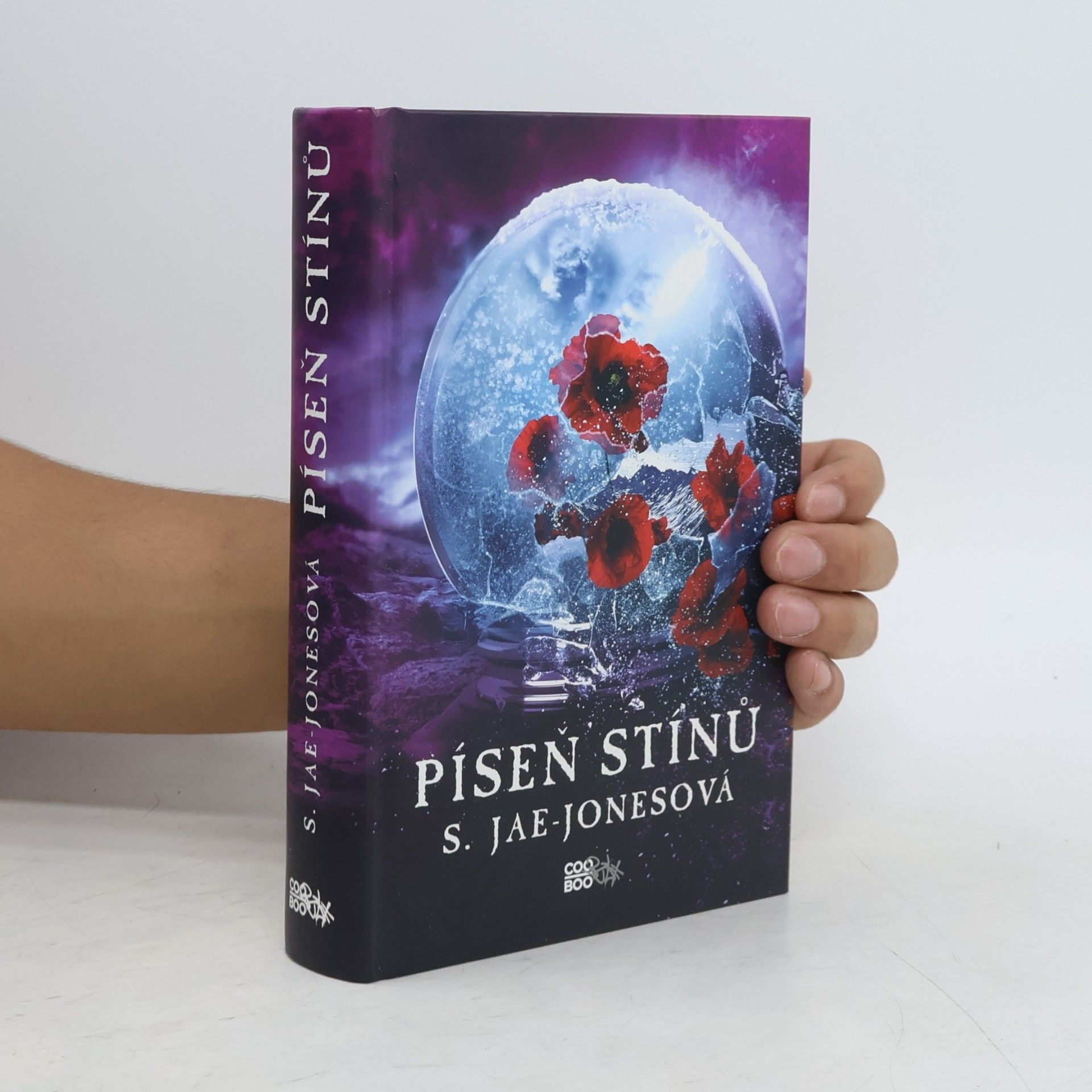 S. Jae-Jones Píseň stínů