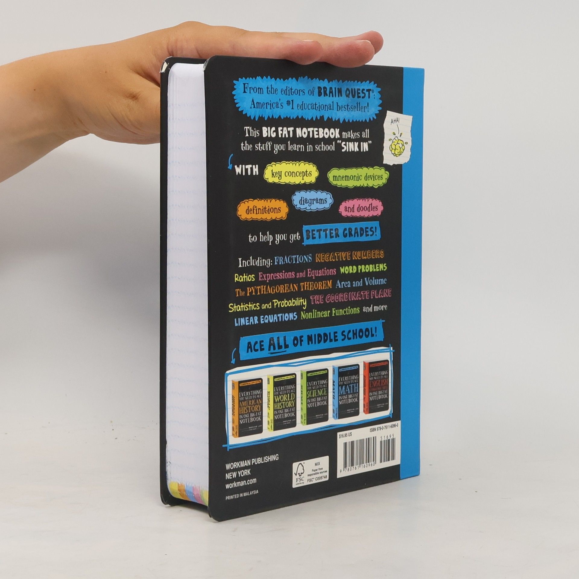 Various authors Everything You Need to Ace Math in One Big Fat Notebook