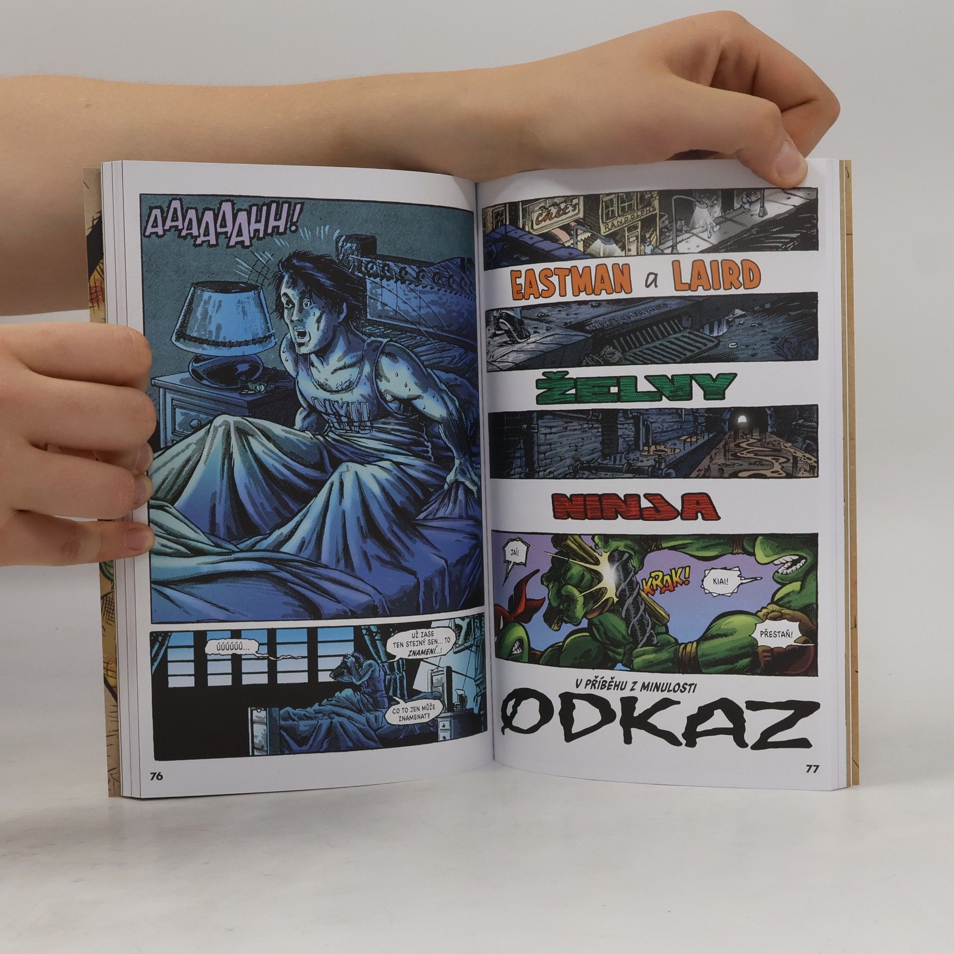 Kevin B. Eastman Želvy Ninja: Menu číslo 3