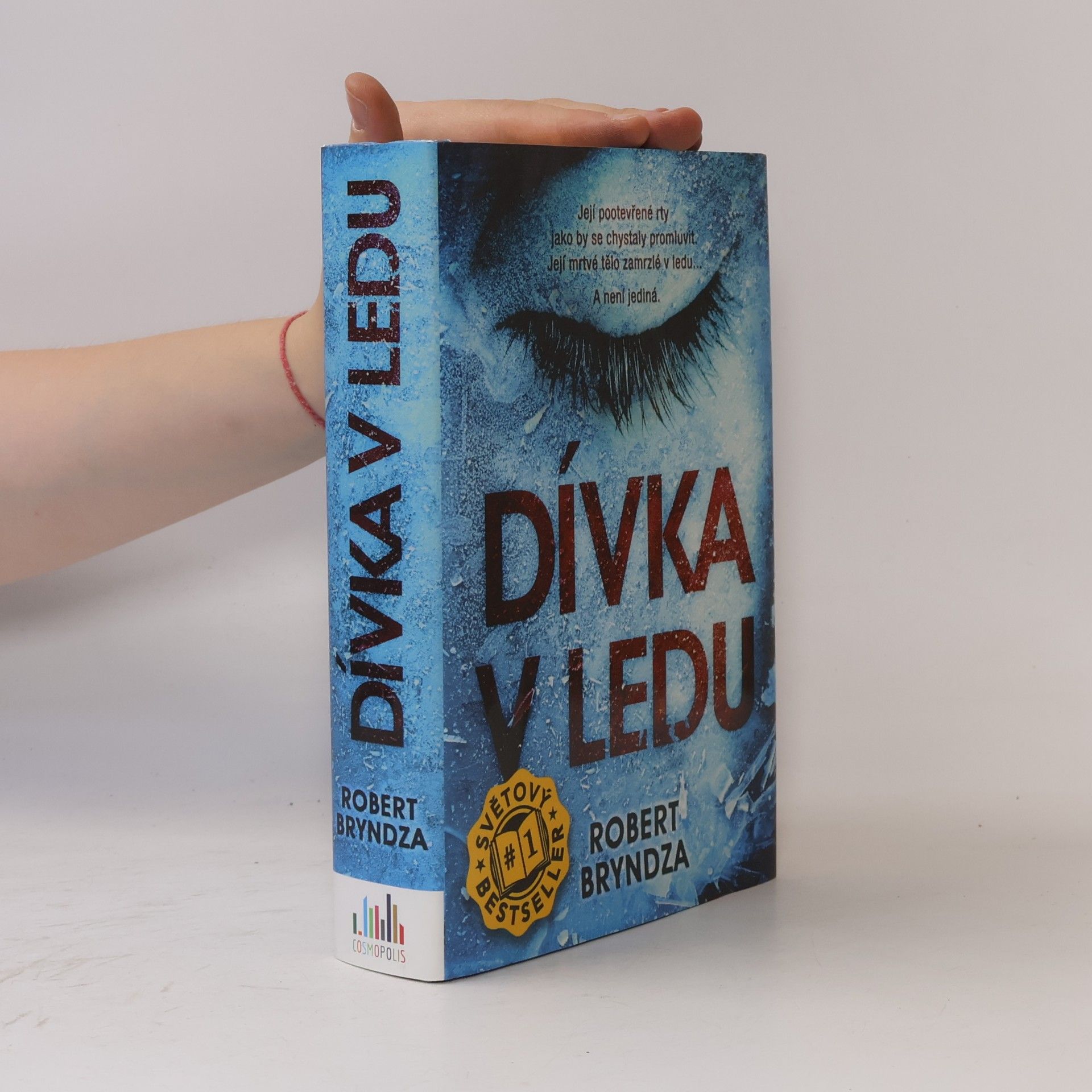 Robert Bryndza Dívka v ledu
