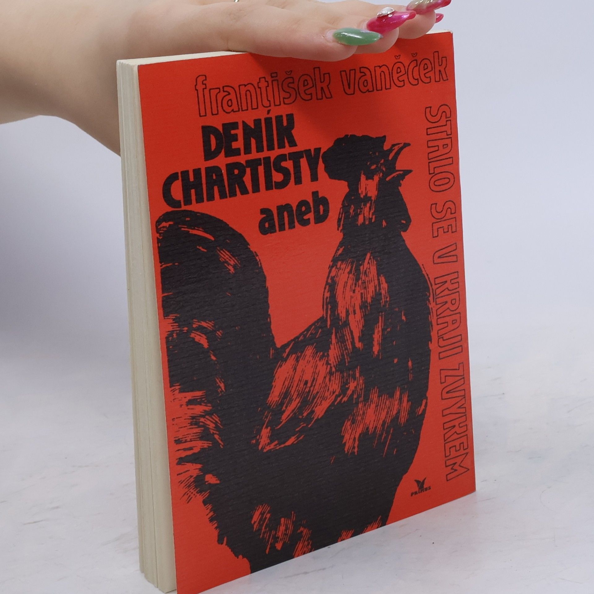 František Vaněček Deník chartisty, aneb, Stalo se v kraji zvykem