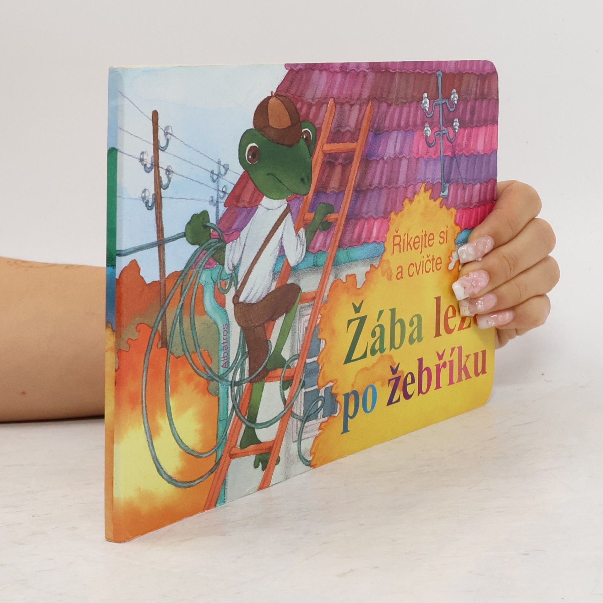 Various authors Žába leze po žebříku