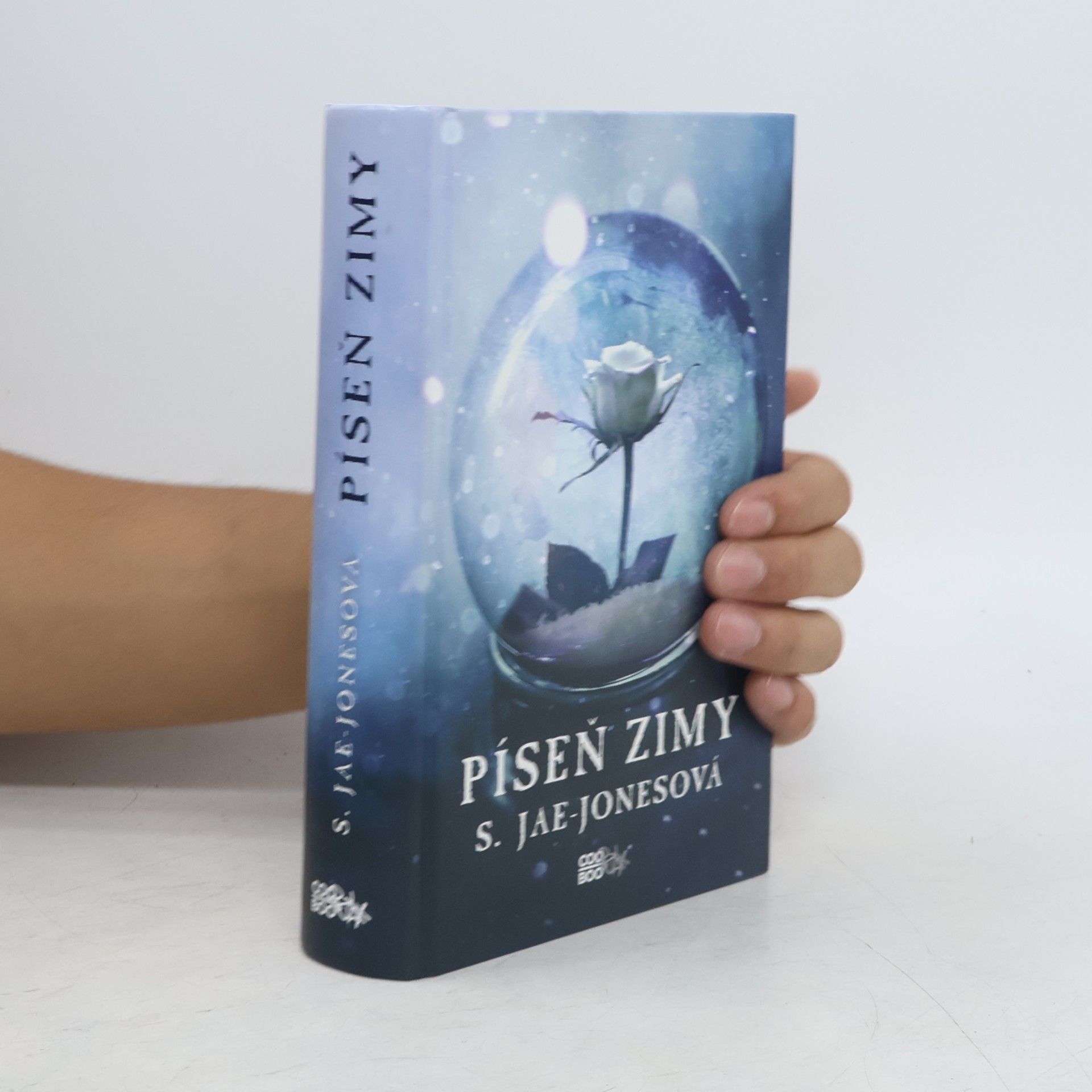 S. Jae-Jones Píseň zimy