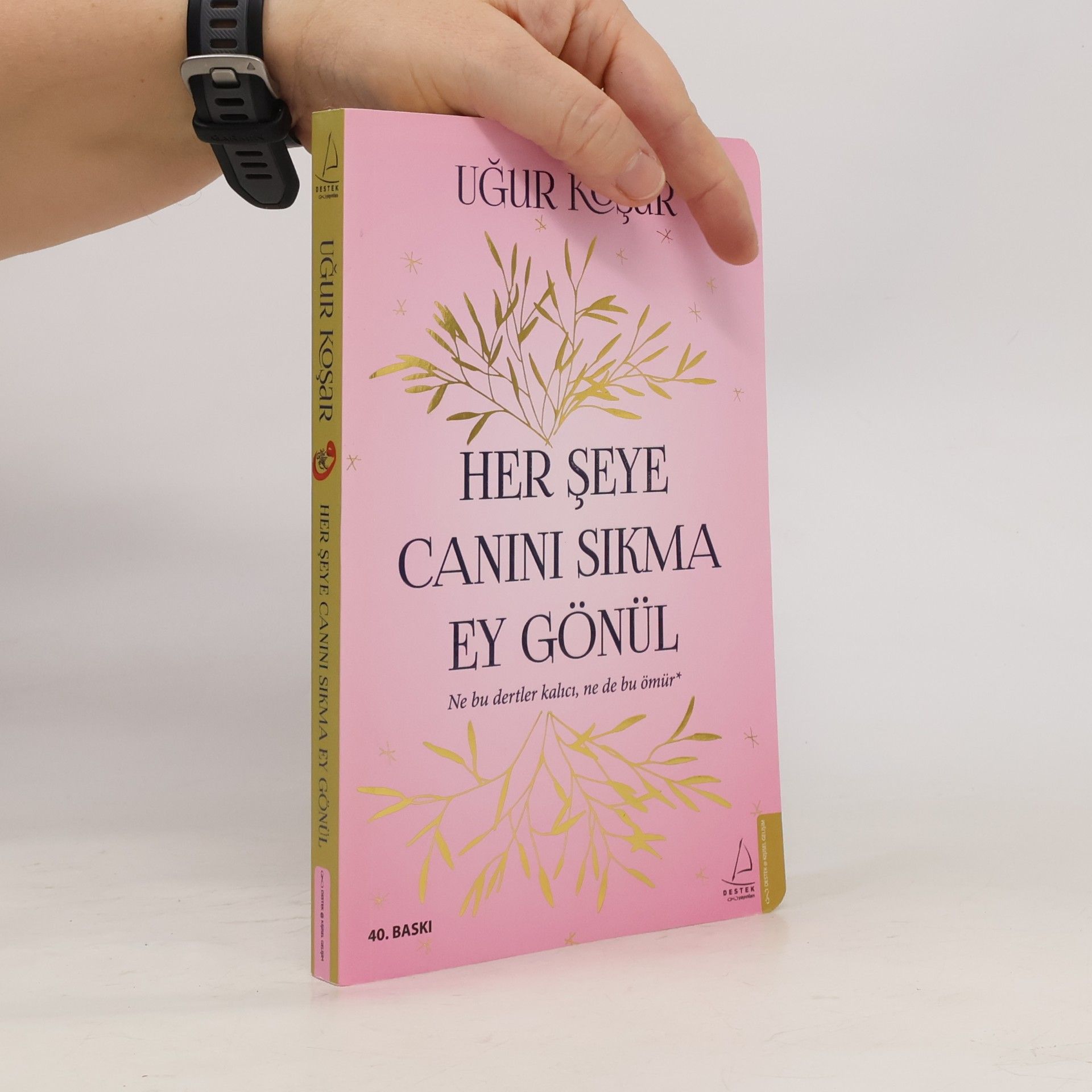 Her Şeye Canını Sıkma Ey Gönül
