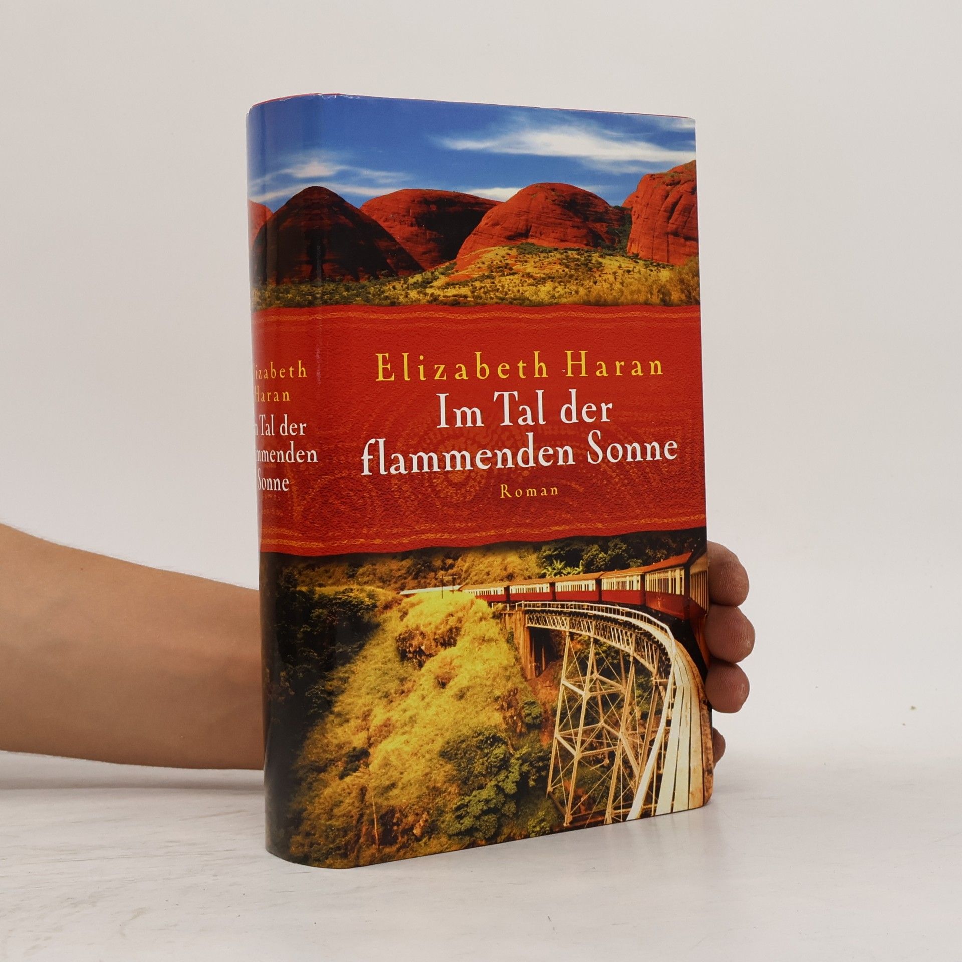 Elizabeth Haran Im Tal der flammenden Sonne