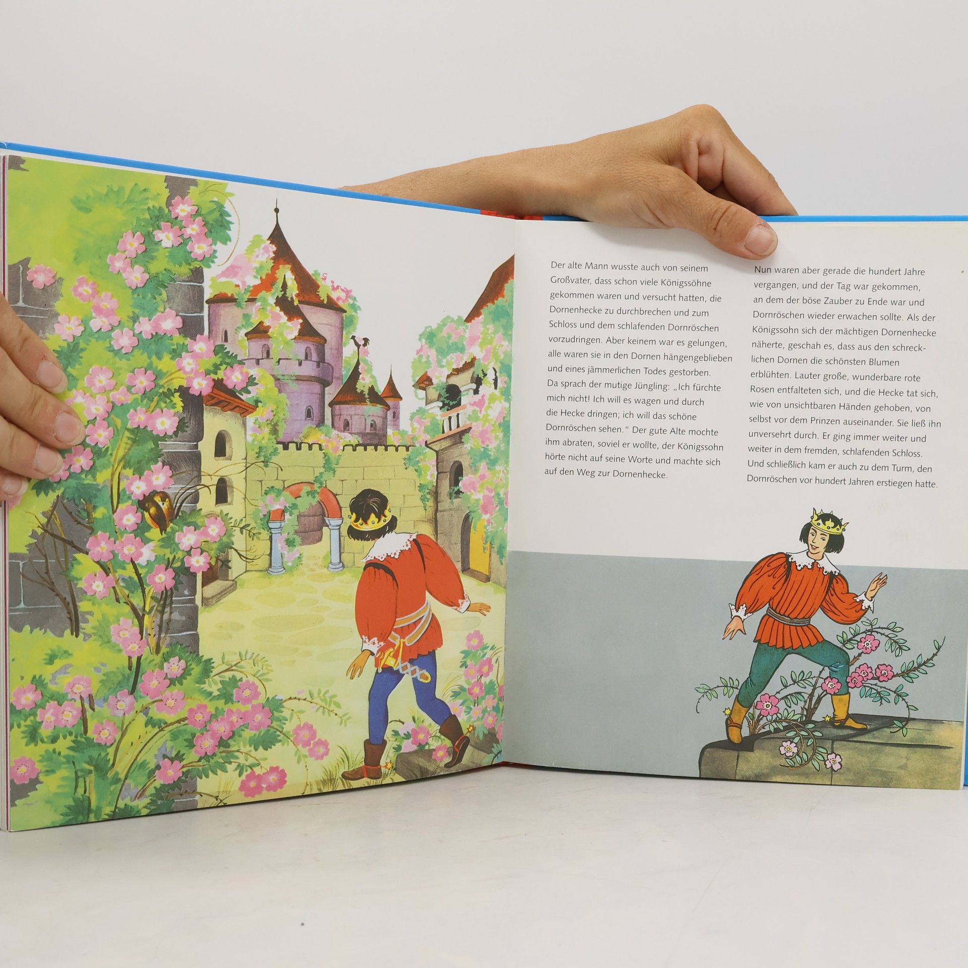 Jacob Grimm Märchen der Brüder Grimm