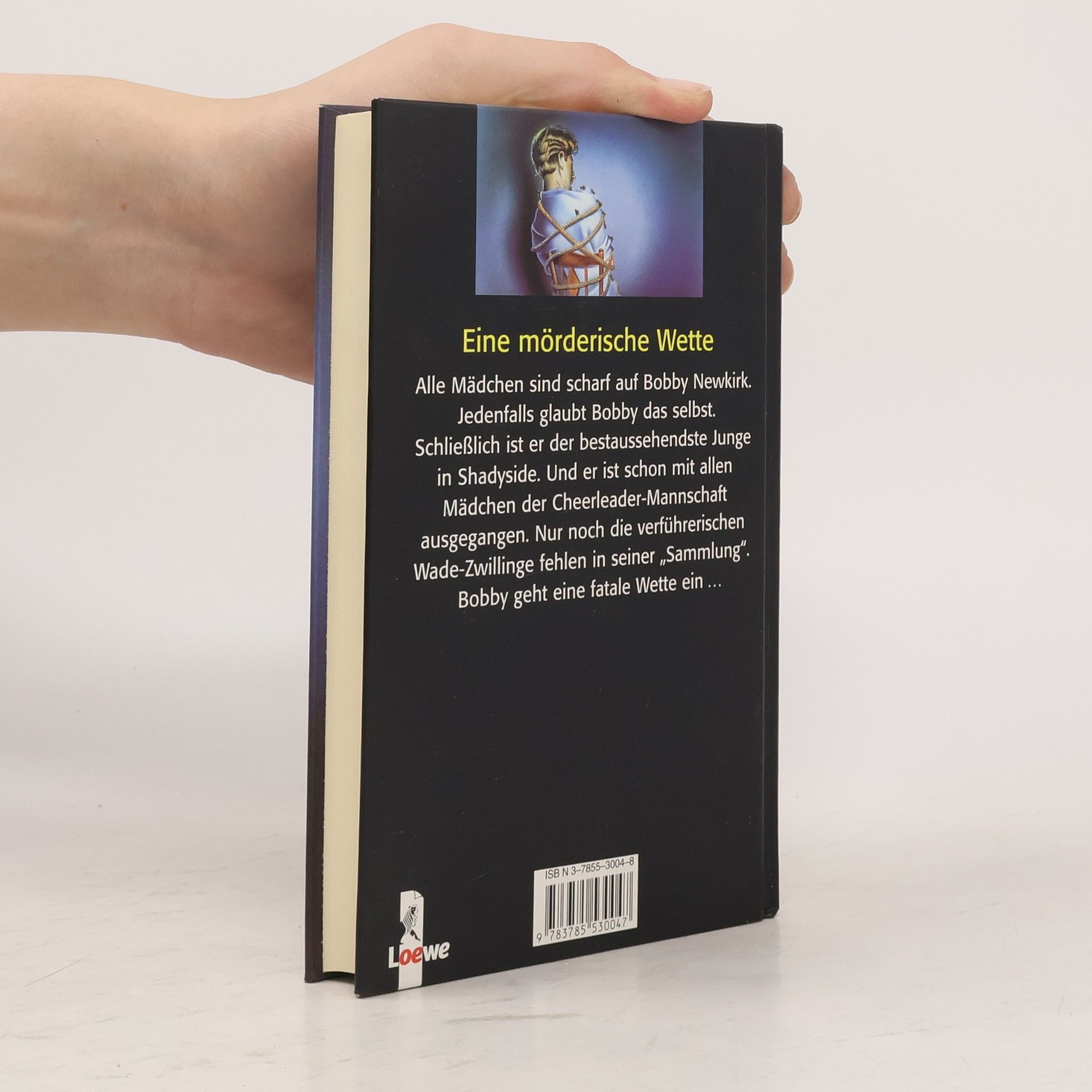 R. L. Stine Der Aufreißer. Doppelspiel mit Zwillingen