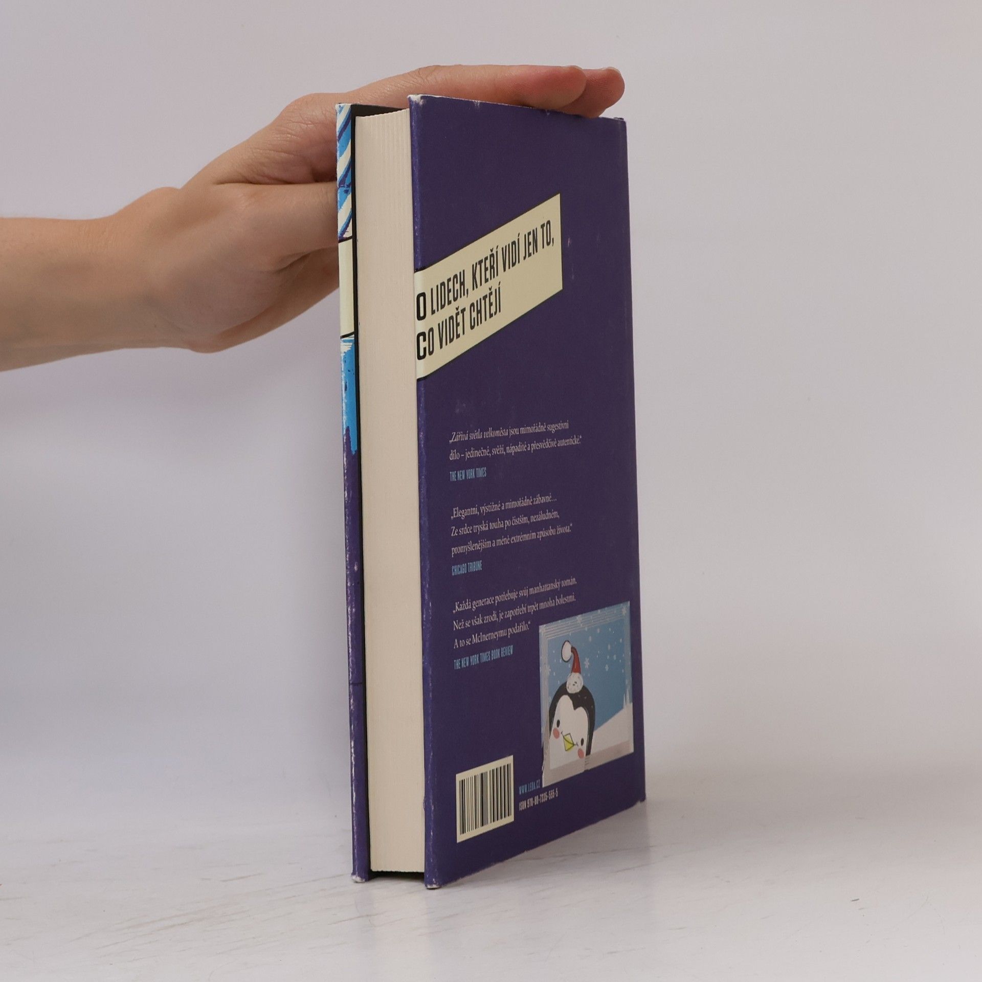 Jay McInerney Zářivá světla velkoměsta