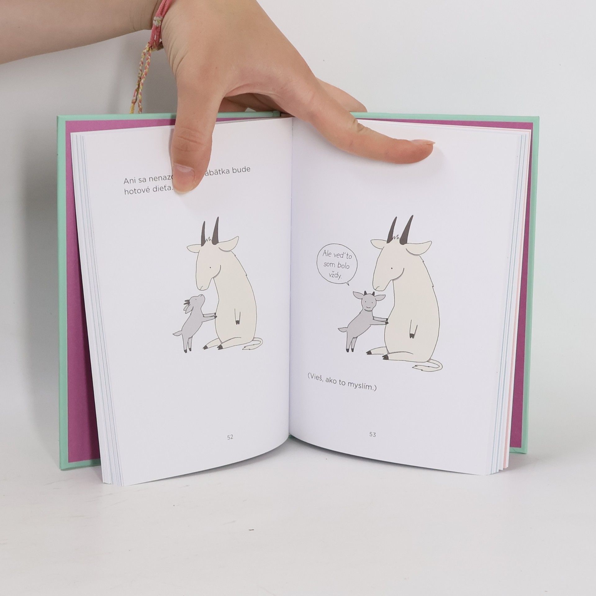 Liz Climo Knižka pre mamy (a tých, ktorí ich l'úbia)