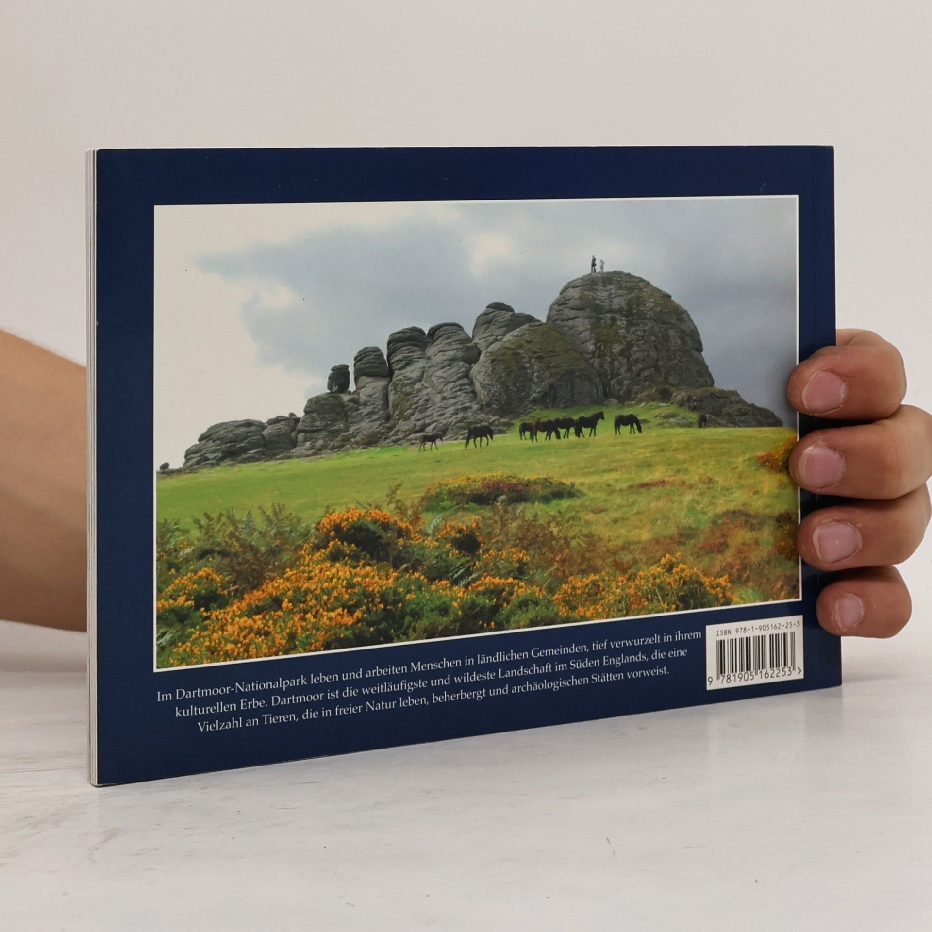 Tracey Elliot-Reep Dartmoor Simmungen