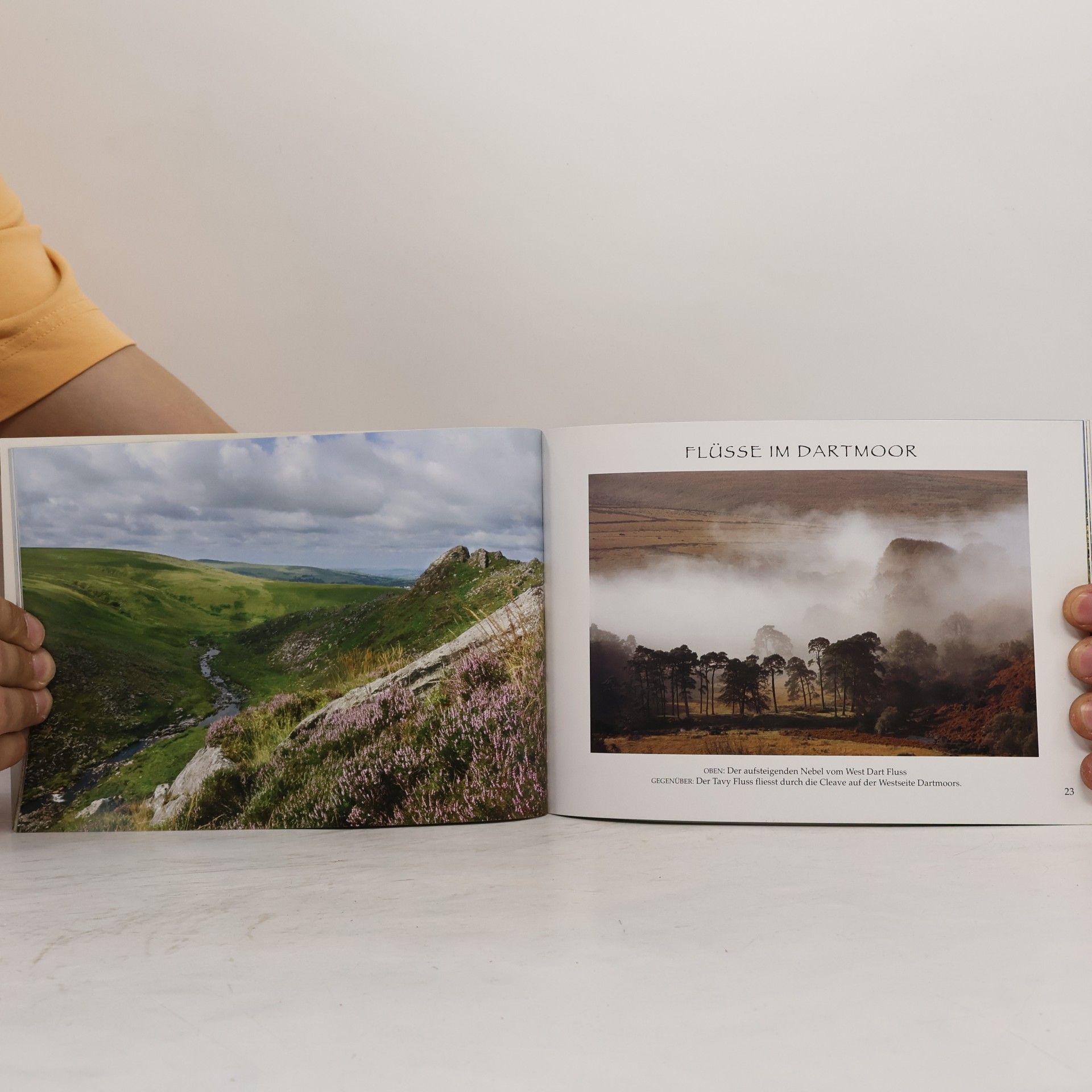 Tracey Elliot-Reep Dartmoor Simmungen