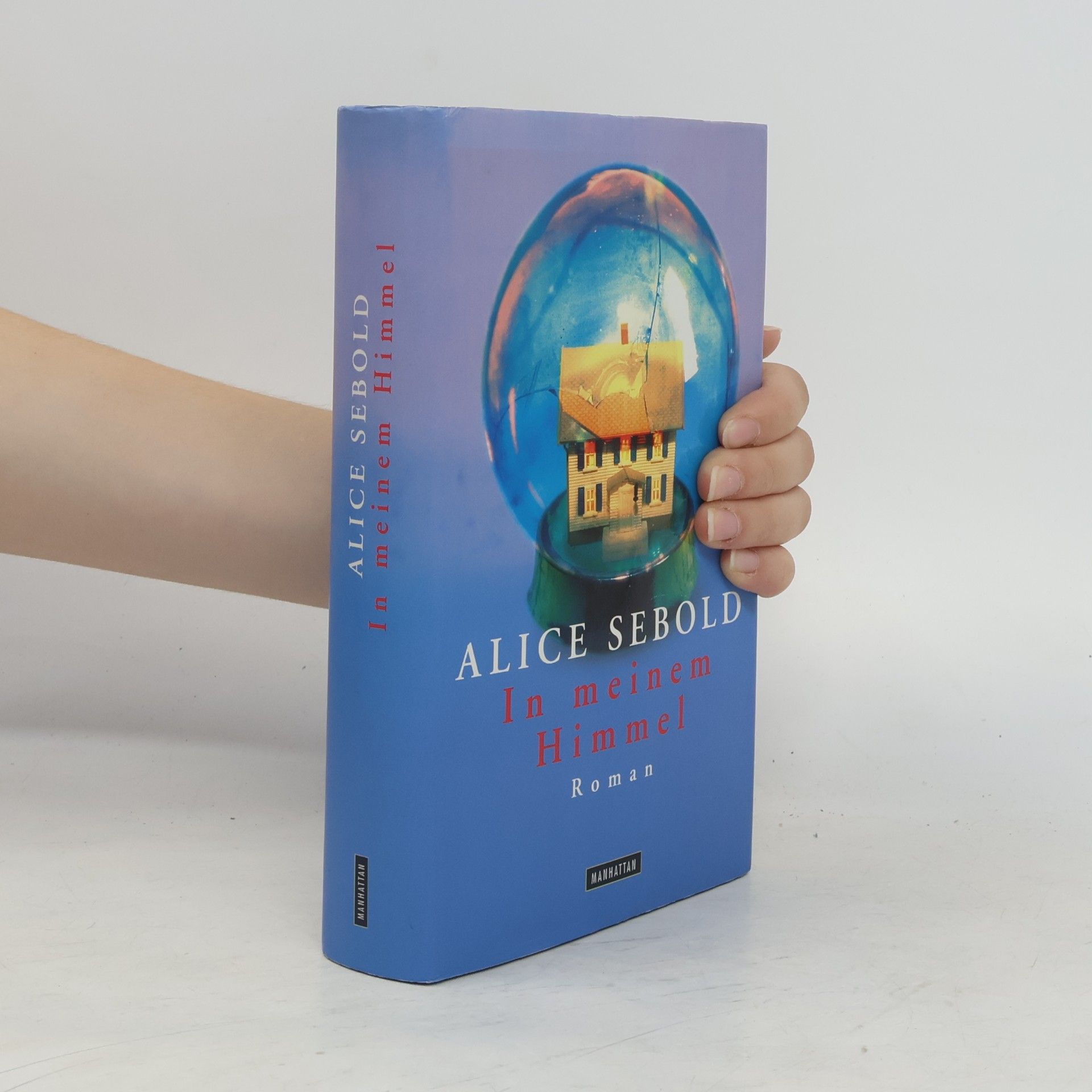 Alice Sebold In meinem Himmel