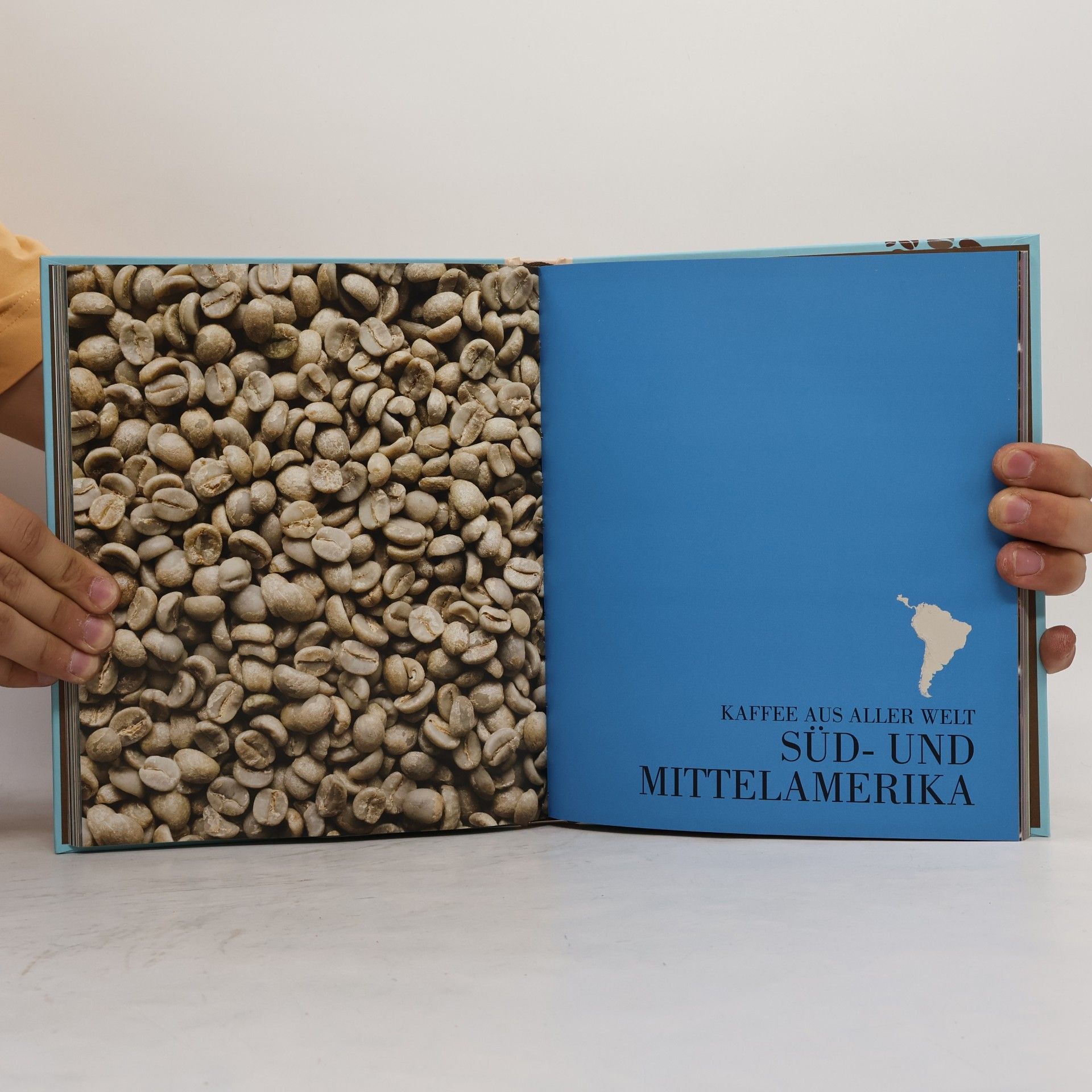 Anette Moldvaer Das Kaffee-Buch