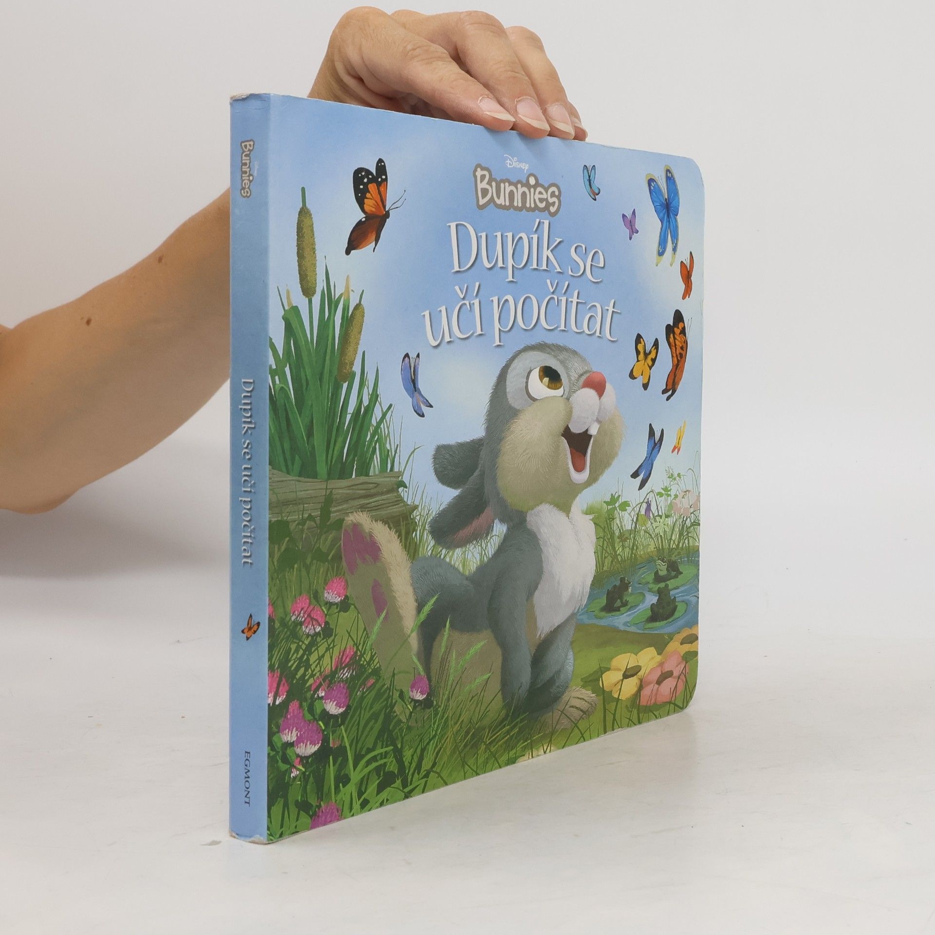 Kitty Richards Disney Bunnies - Dupík se učí počítat