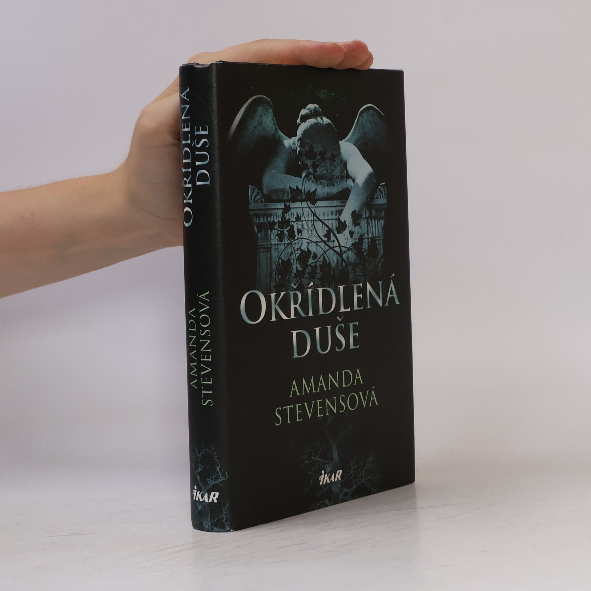 Amanda Stevens Okřídlená duše