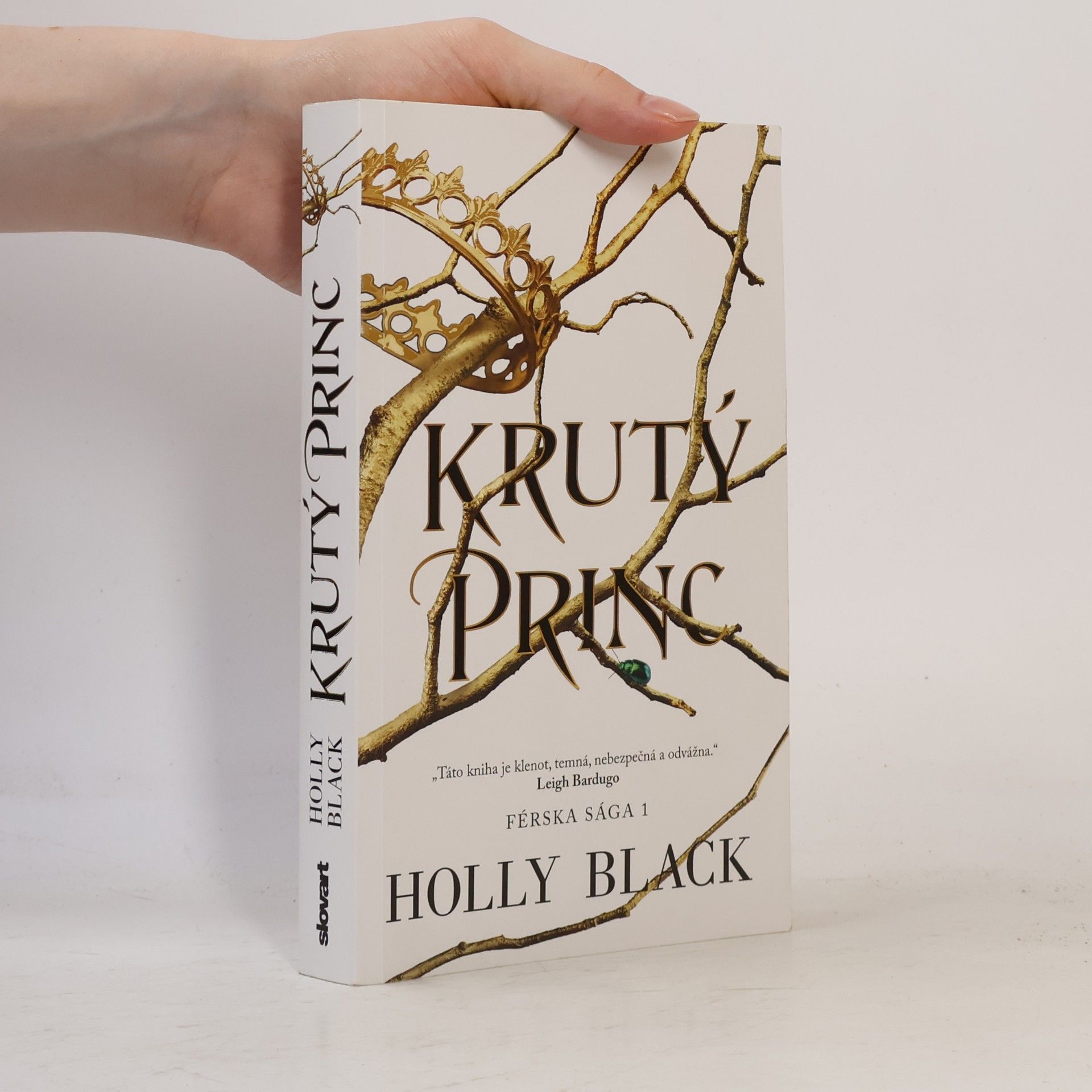 Holly Black Krutý princ