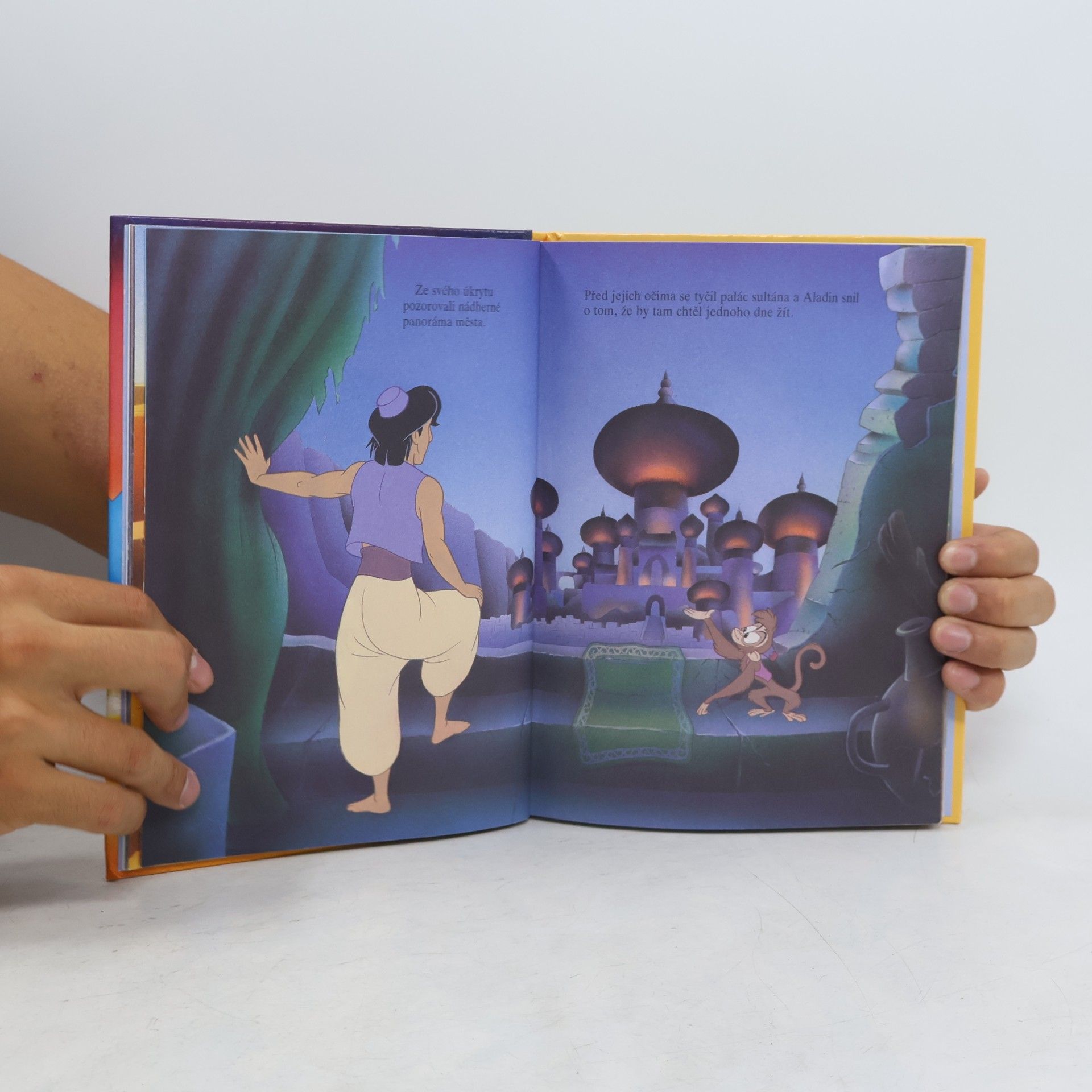 Collectif d'auteurs Aladin