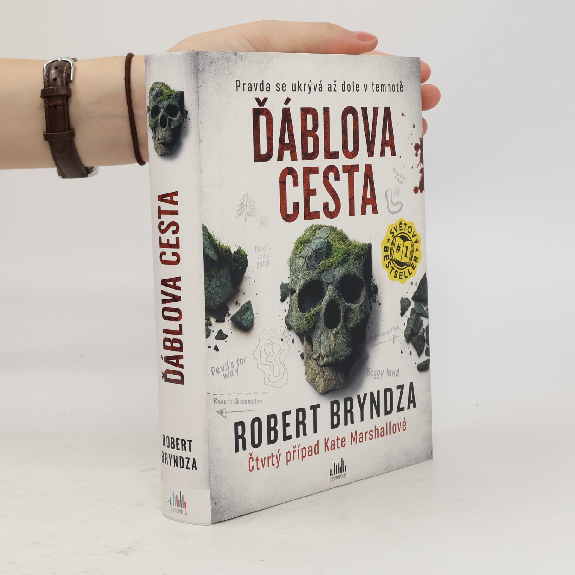Robert Bryndza Ďáblova cesta
