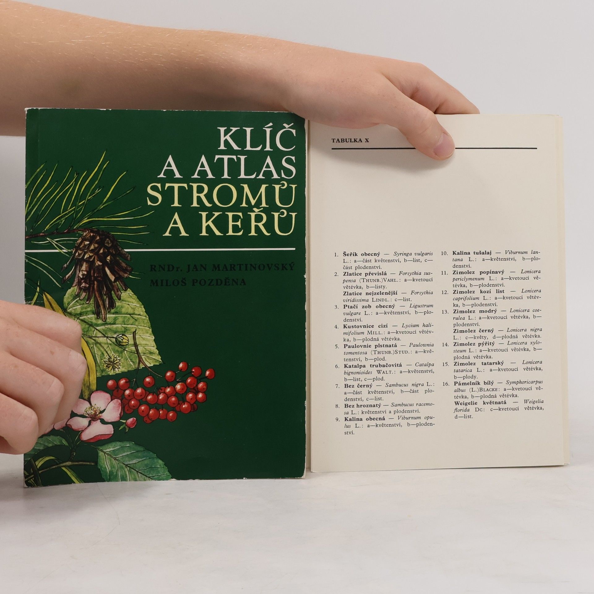 Miloš Pozděna Klíč a atlas stromů a keřů
