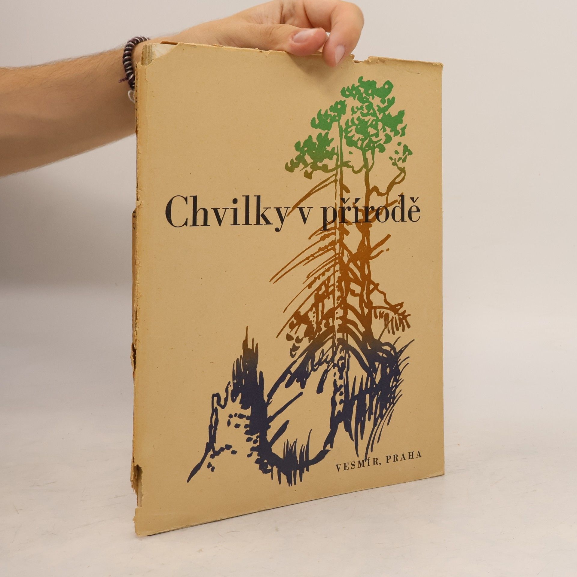 Jindřich Vichnar Chvilky v přírodě. Svazek III.