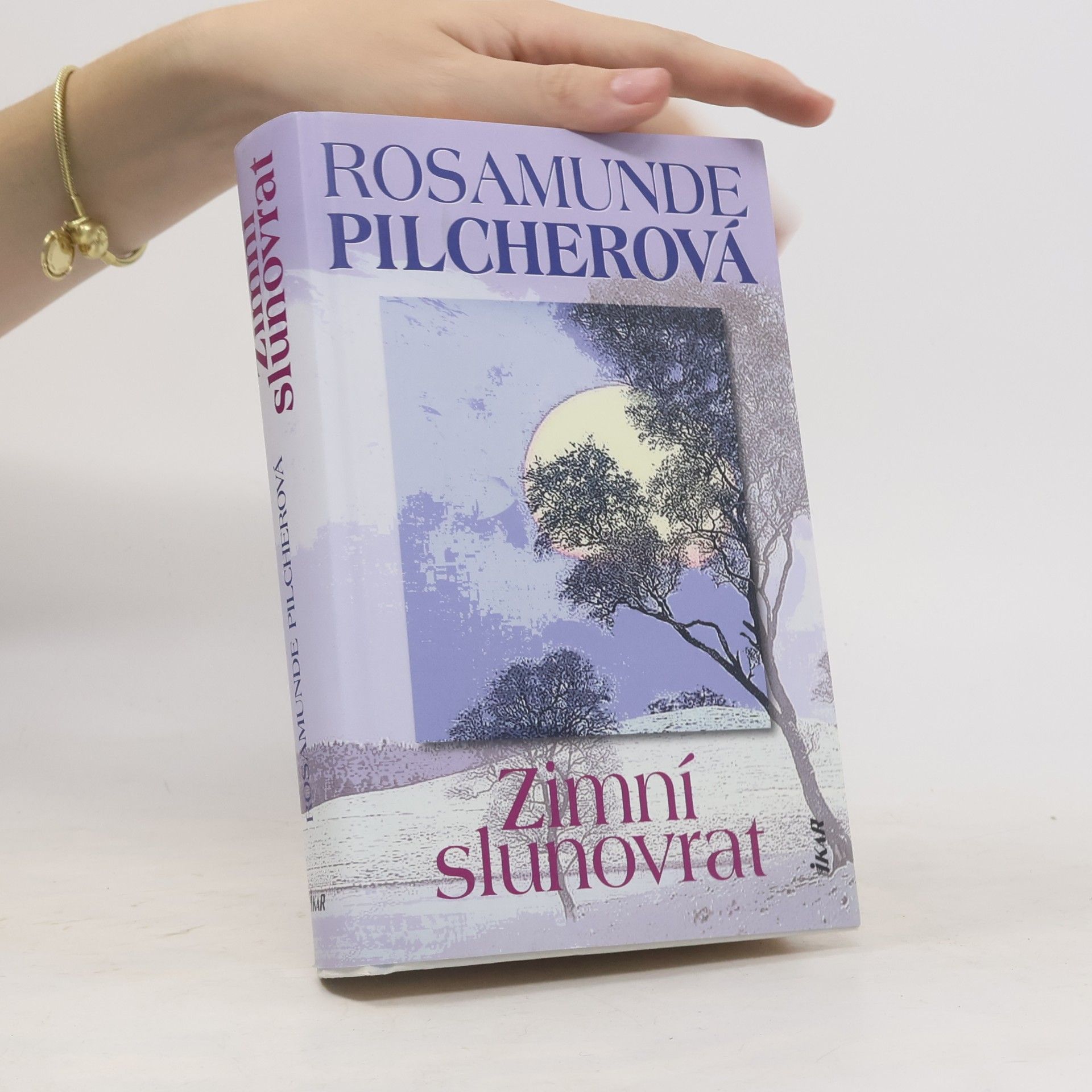 Rosamunde Pilcher Zimní slunovrat