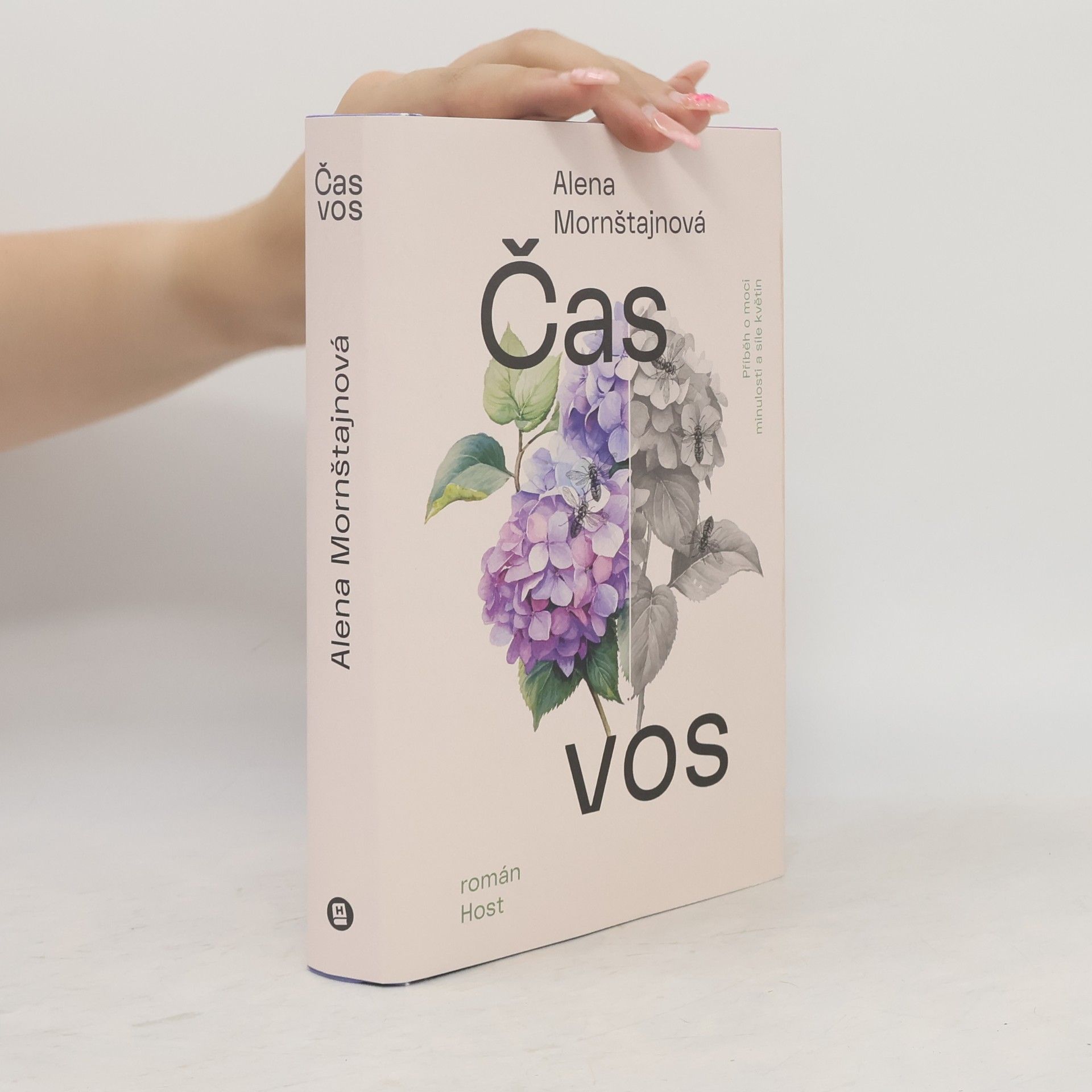 Alena Mornštajnová Čas vos